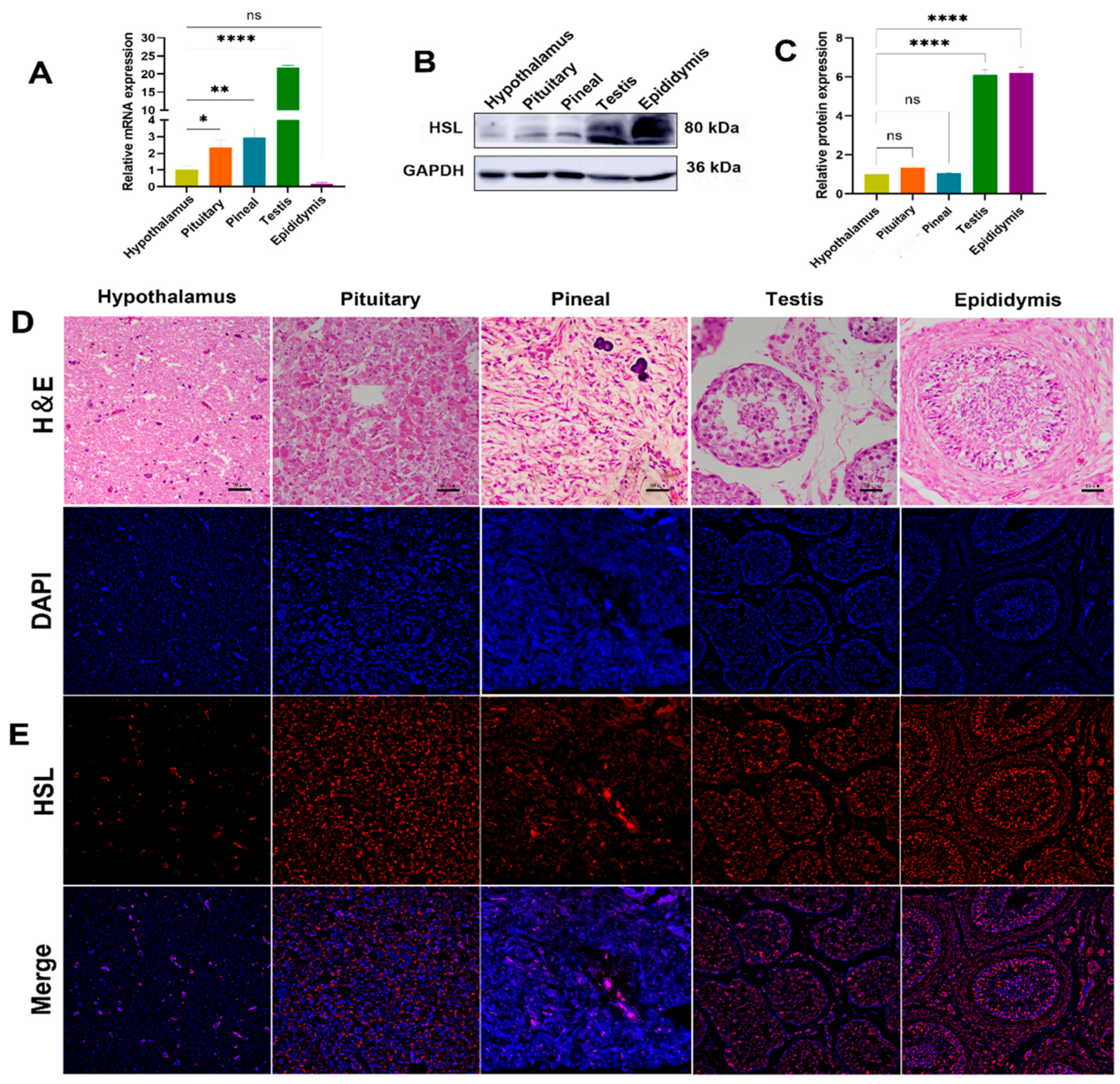 Cimb 44 00259 g005 Cimb 44 00259 g005