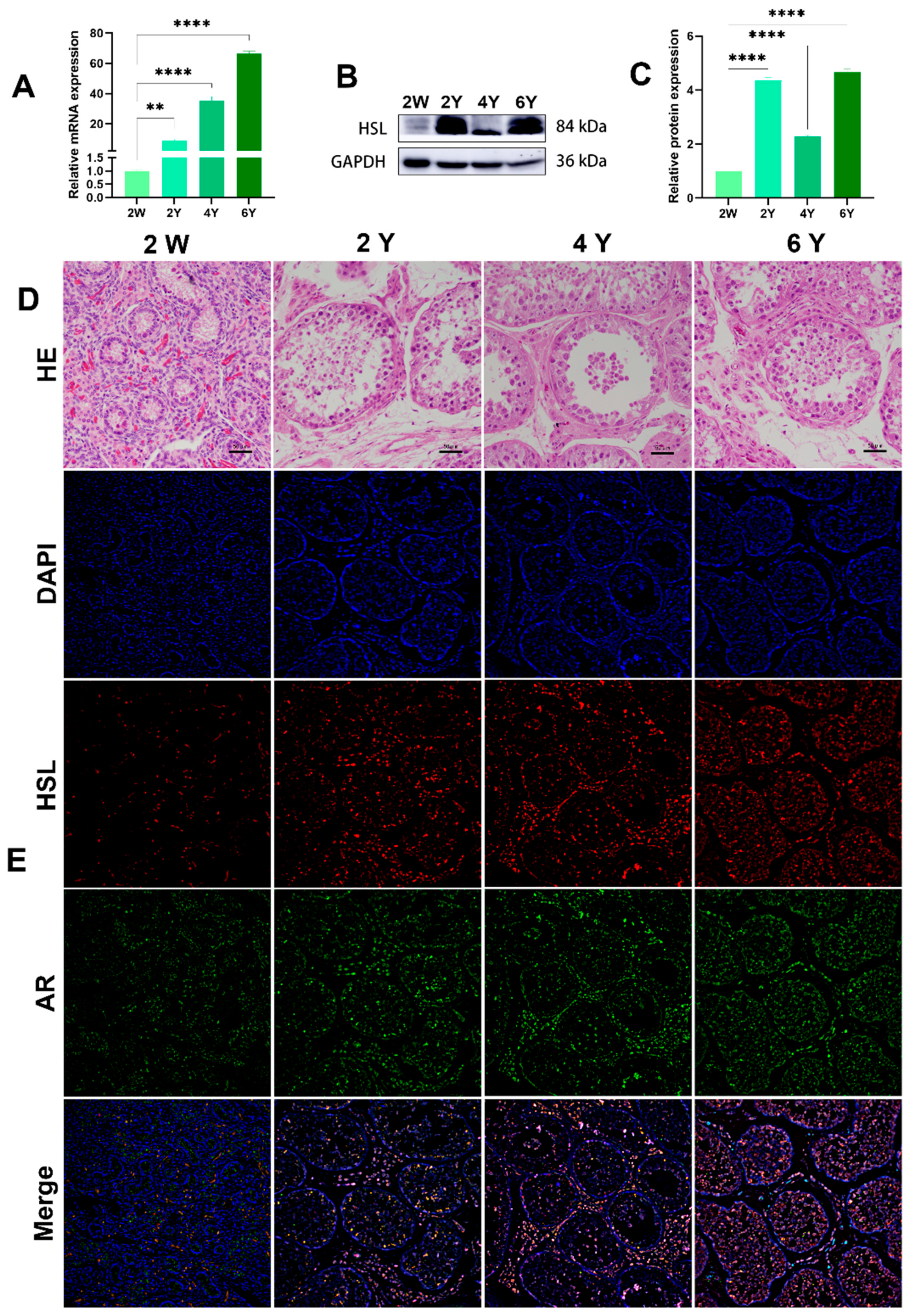 Cimb 44 00259 g006 Cimb 44 00259 g006