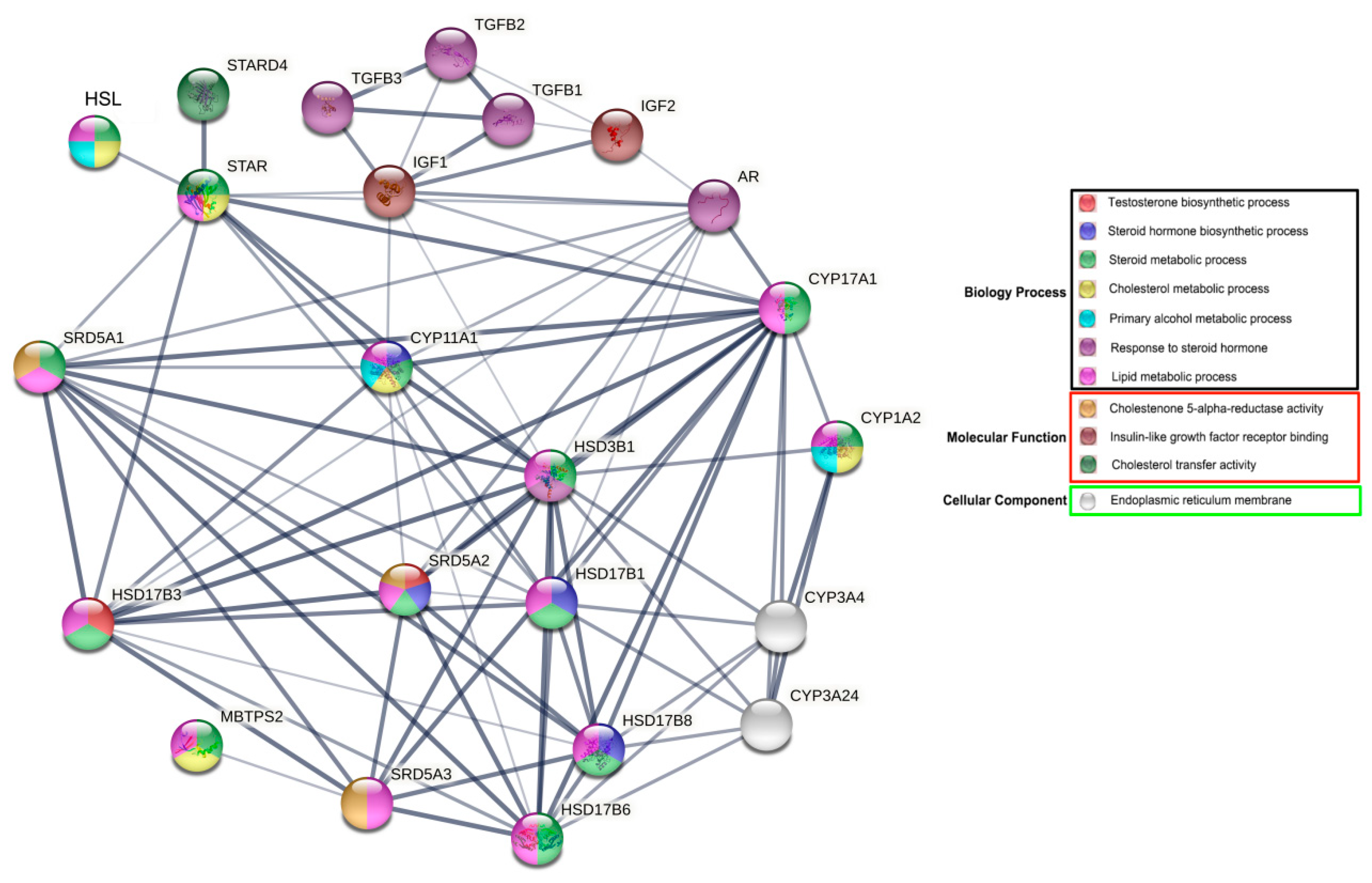 Cimb 44 00259 g007 Cimb 44 00259 g007