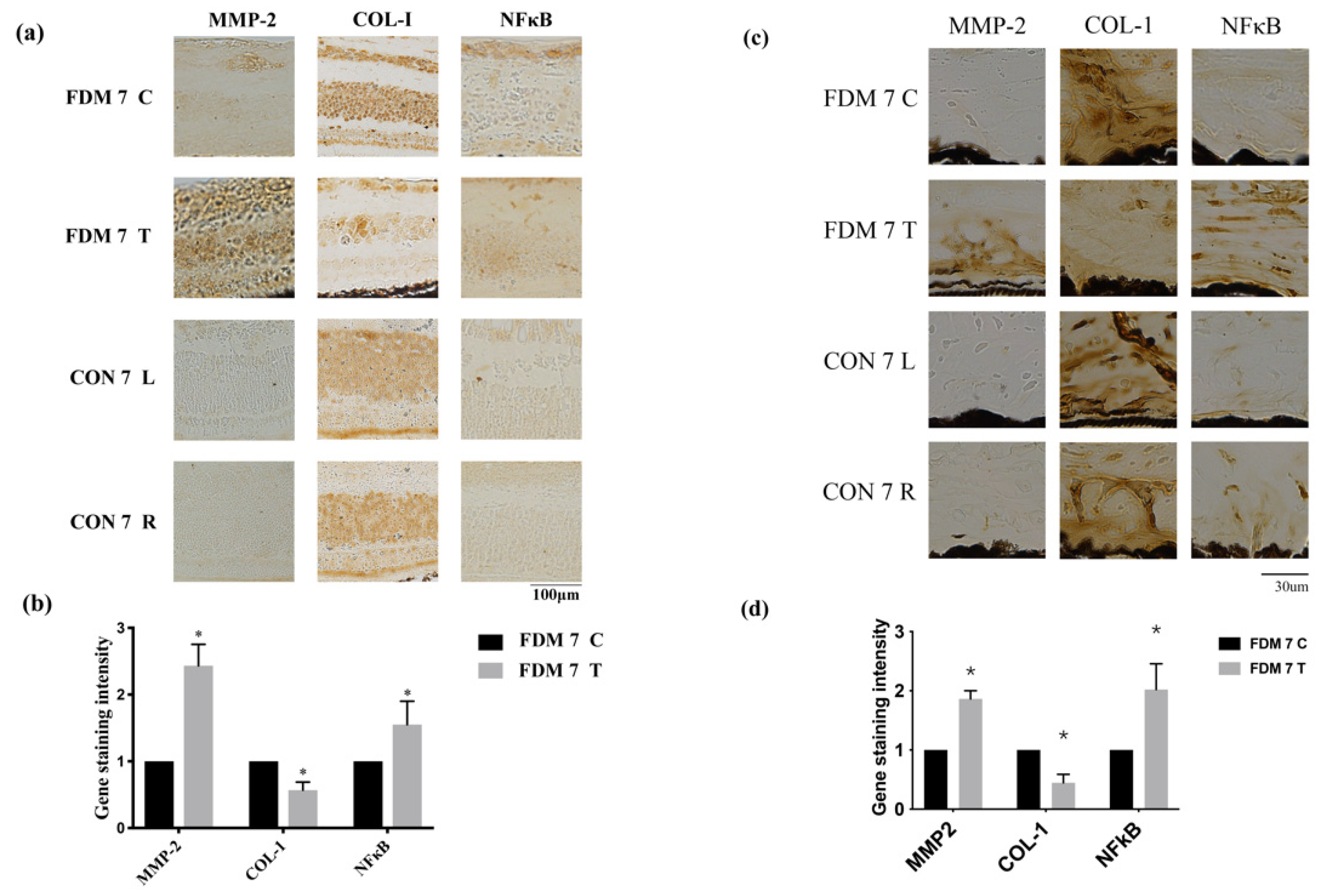 Cimb 44 00296 g003 Cimb 44 00296 g003