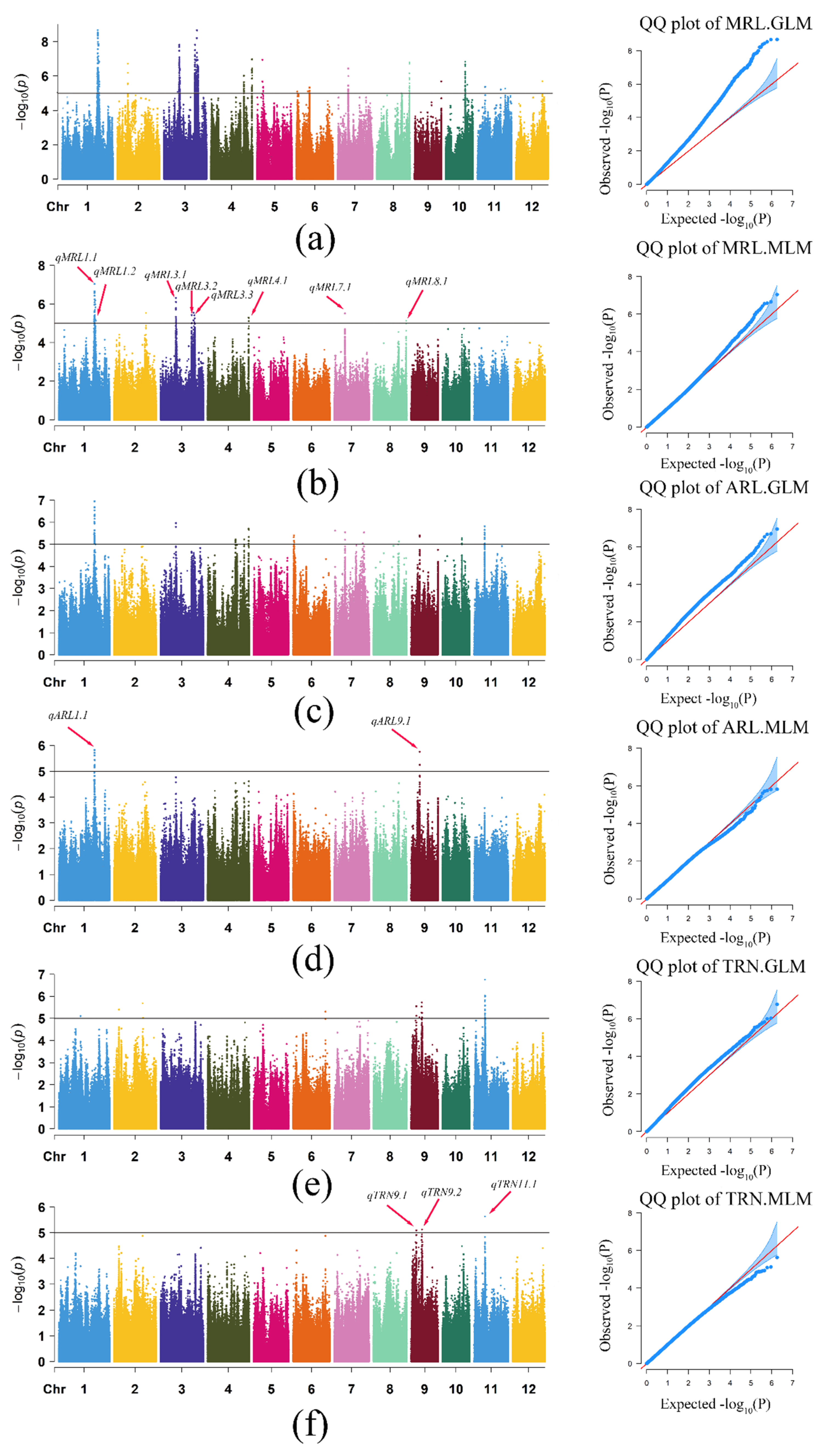 Cimb 44 00301 g002 Cimb 44 00301 g002