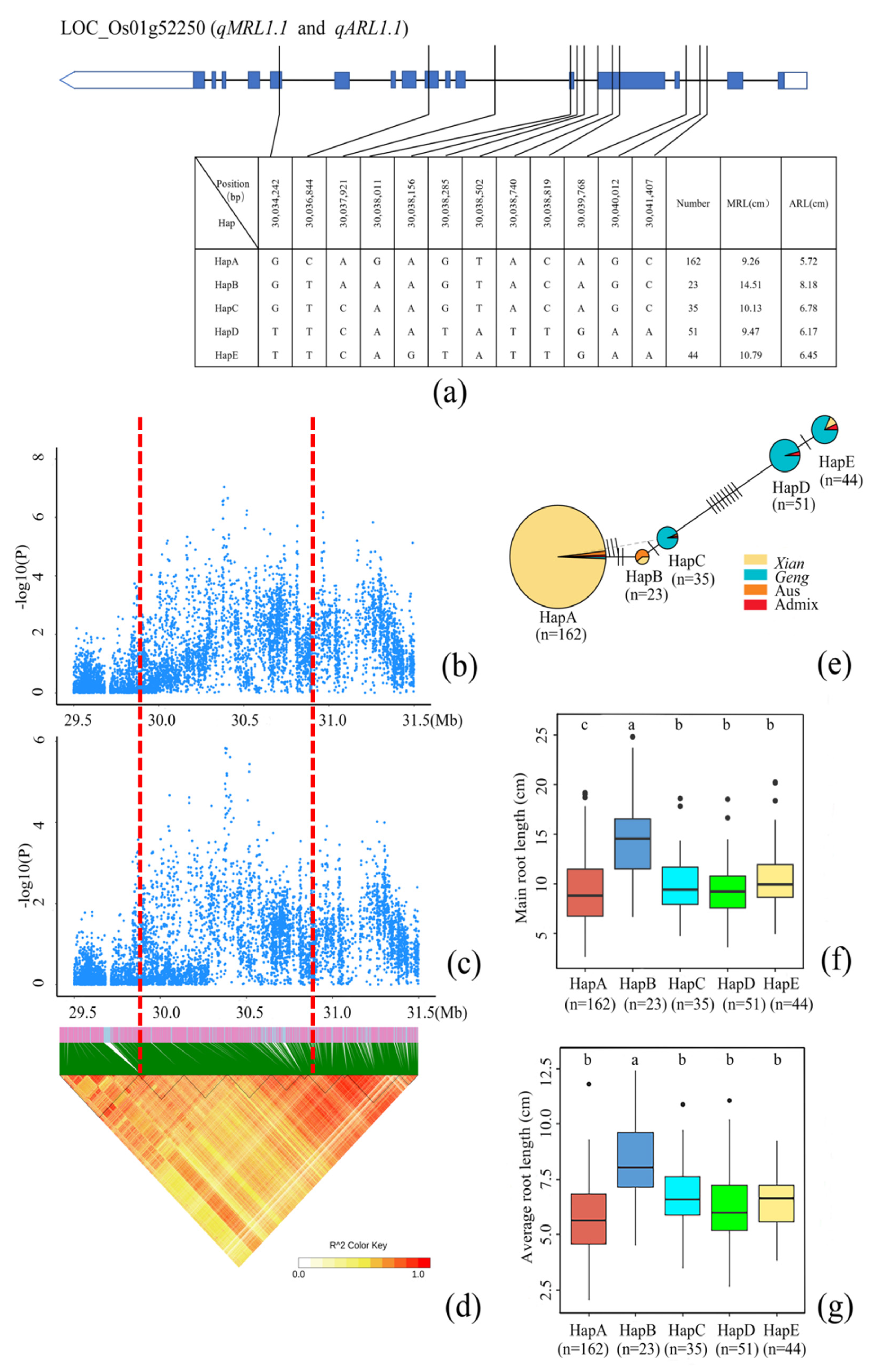 Cimb 44 00301 g003 Cimb 44 00301 g003