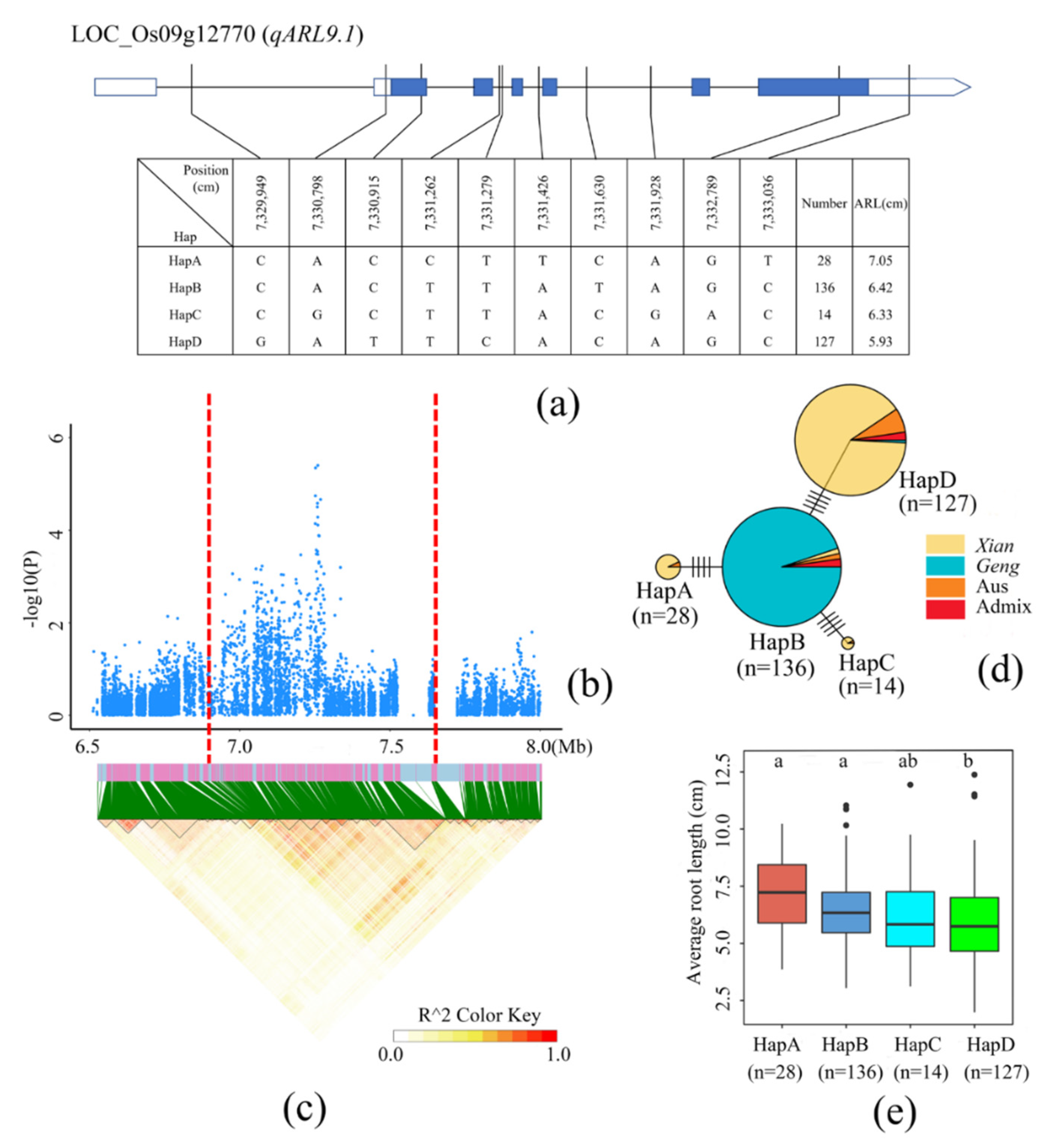 Cimb 44 00301 g004 Cimb 44 00301 g004