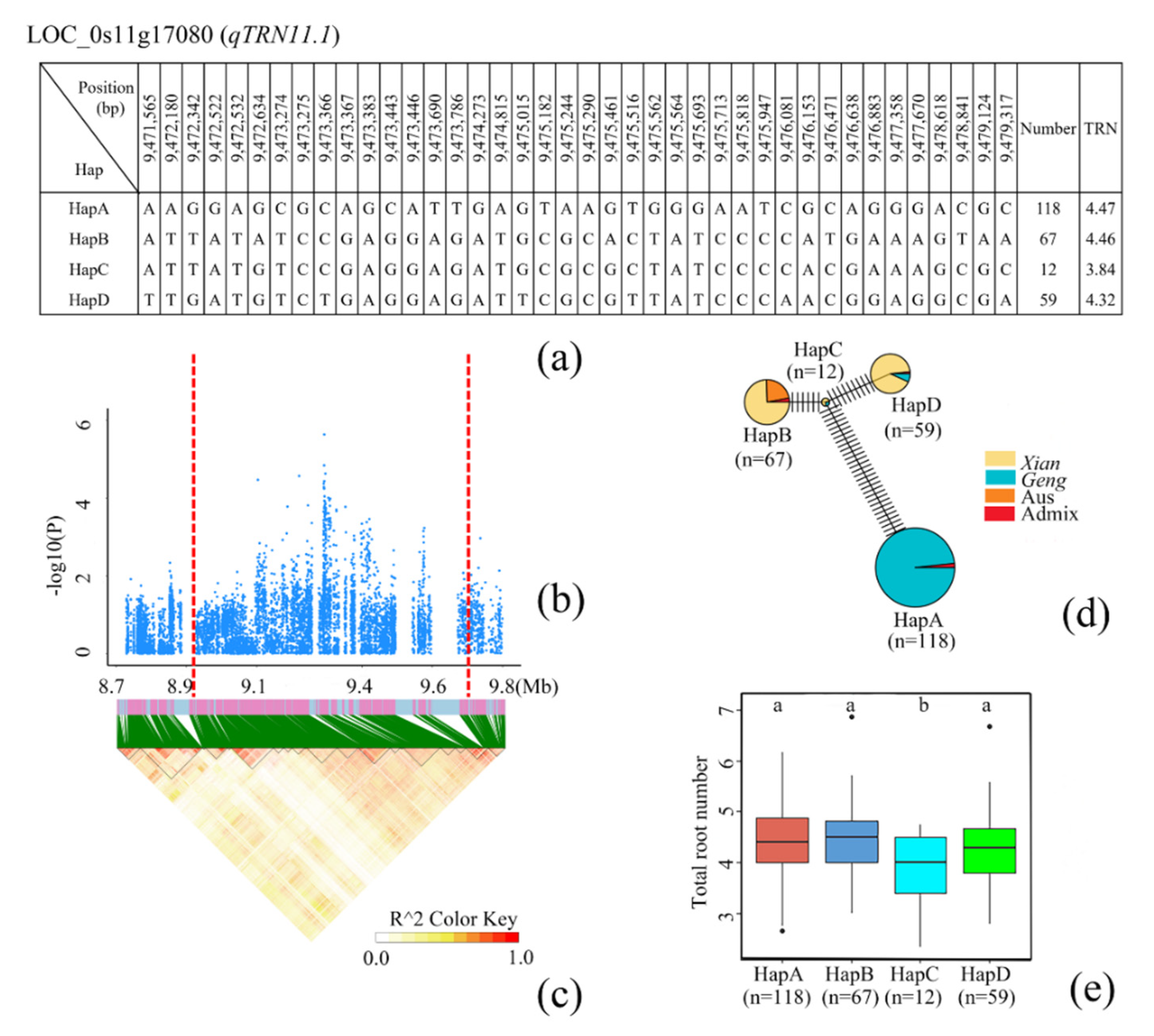 Cimb 44 00301 g005 Cimb 44 00301 g005