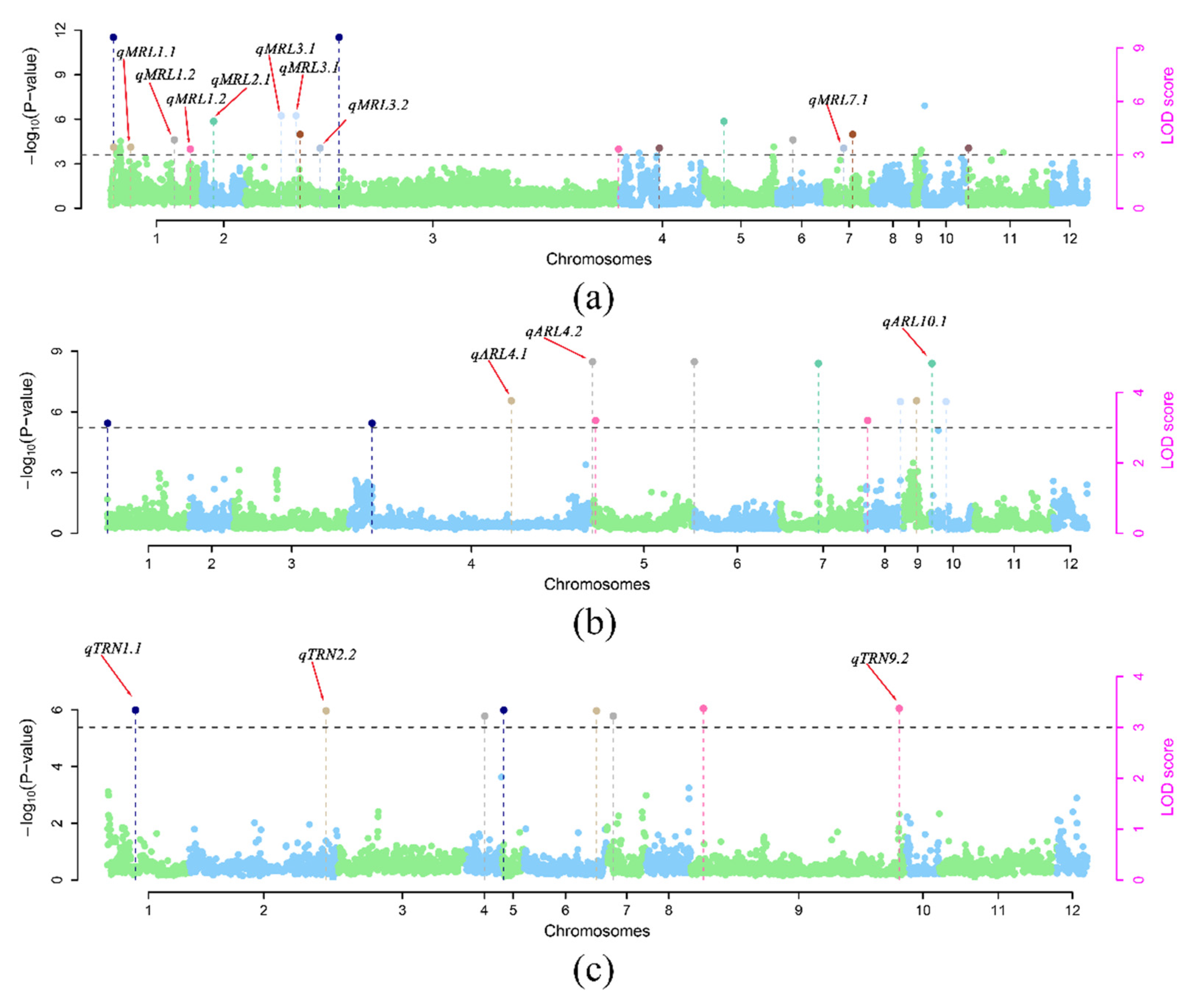 Cimb 44 00301 g006 Cimb 44 00301 g006