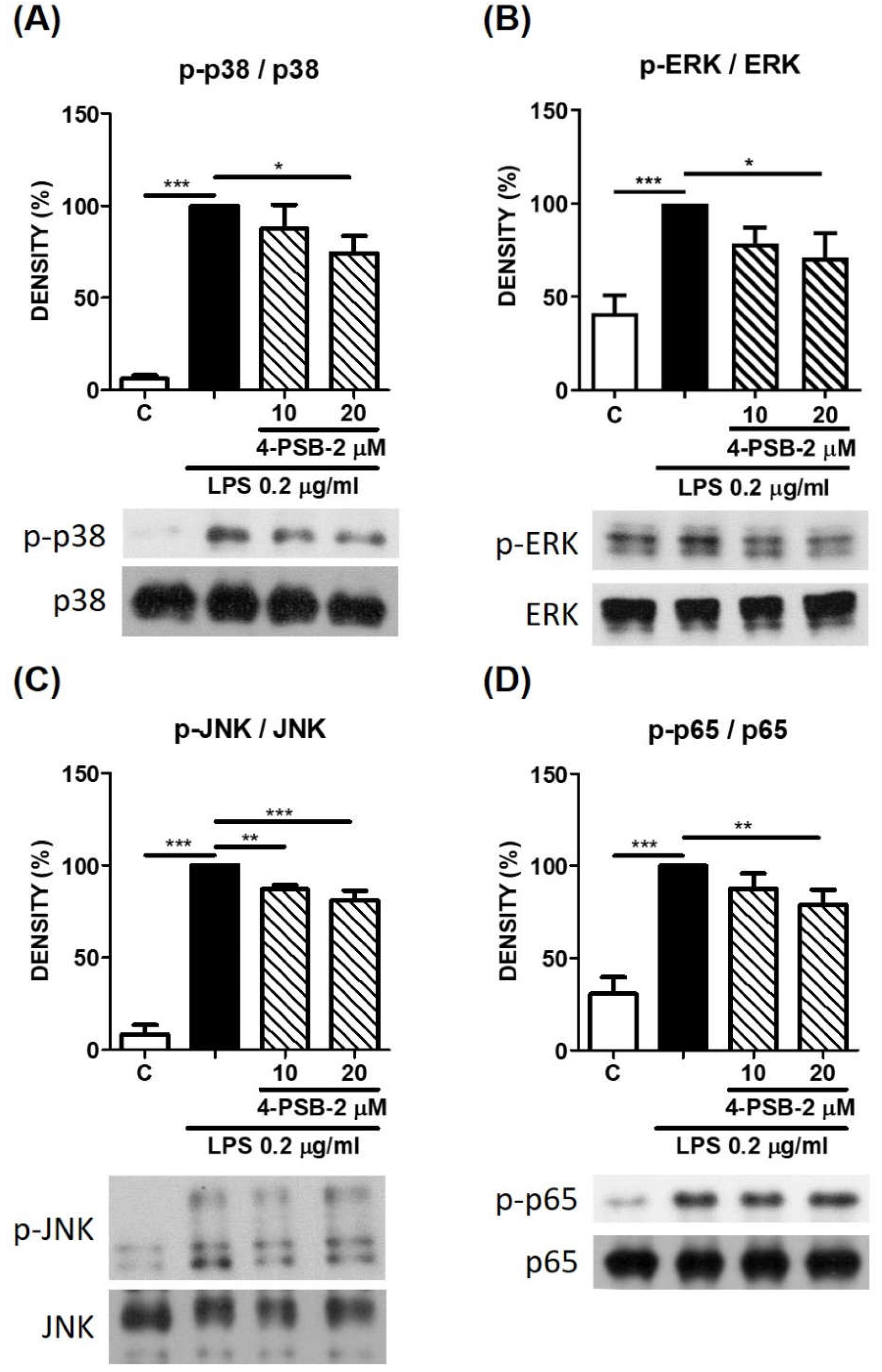 Cimb 44 00315 g004 Cimb 44 00315 g004