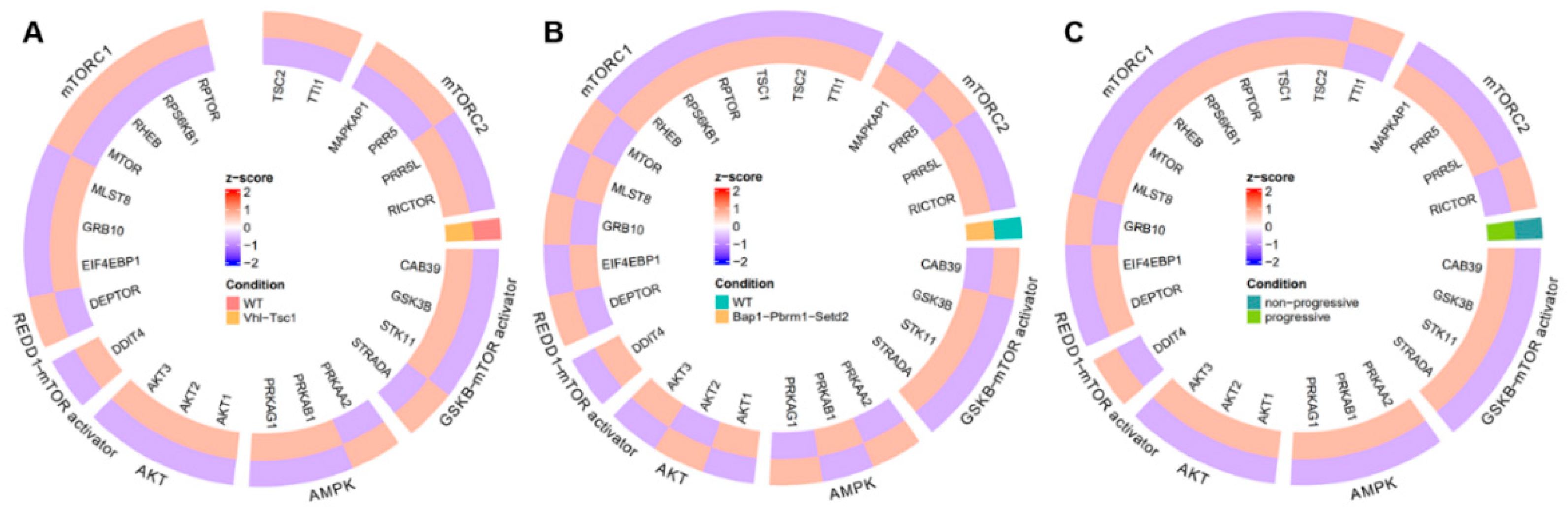 Cimb 44 00334 g001 Cimb 44 00334 g001