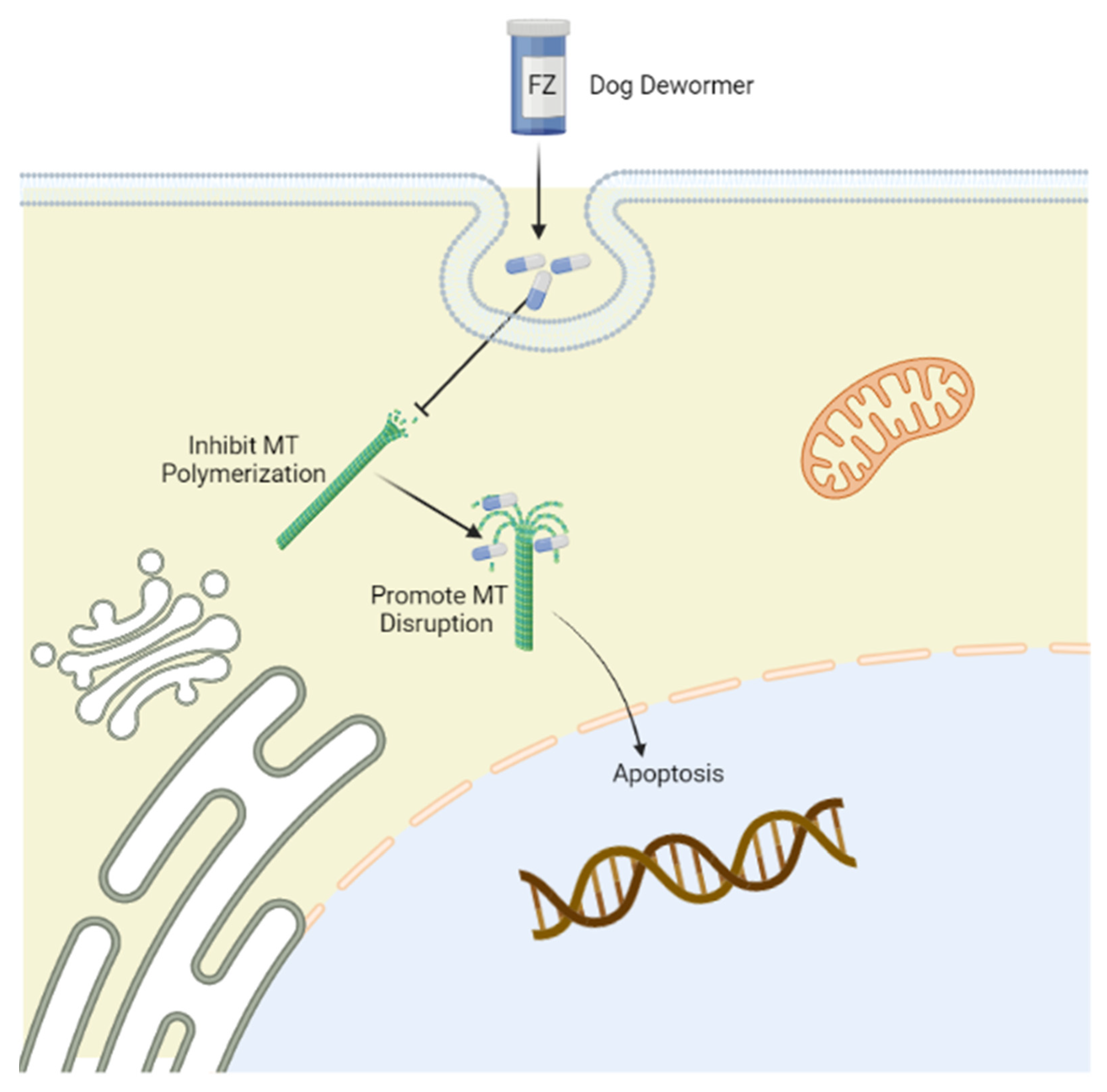 Cimb 44 00338 g001 Cimb 44 00338 g001