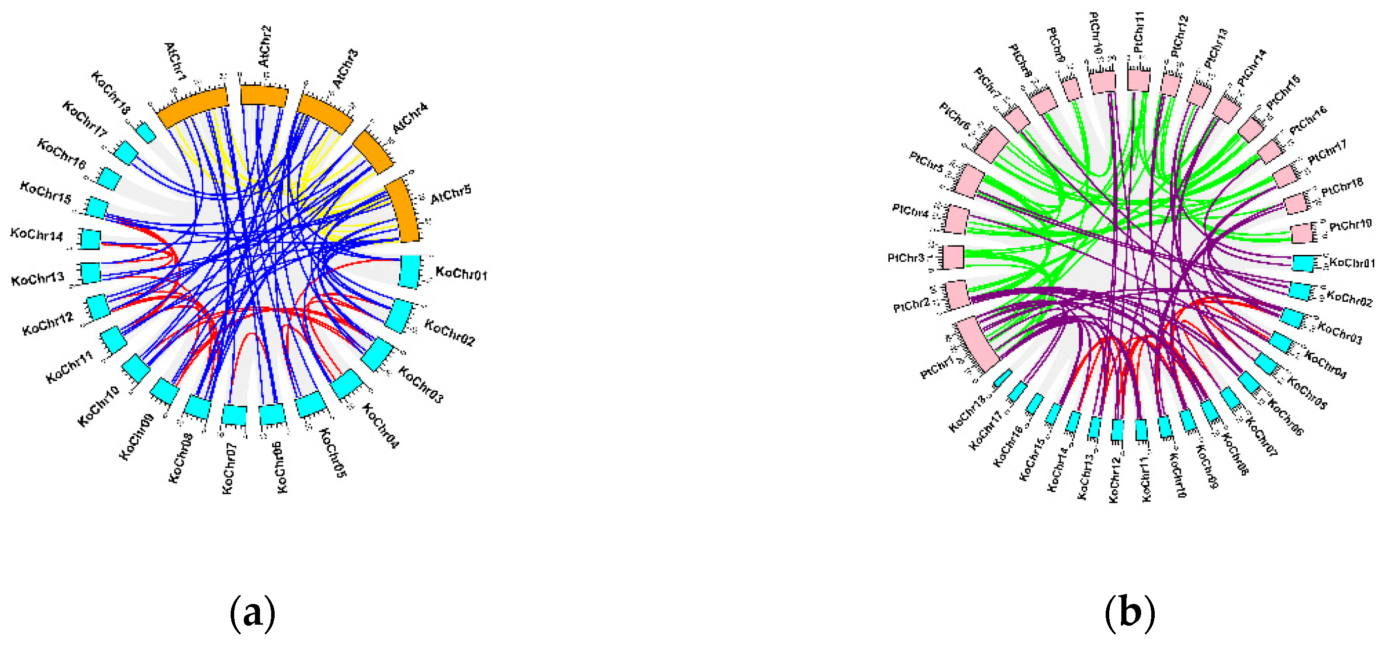 Cimb 44 00381 g005 Cimb 44 00381 g005