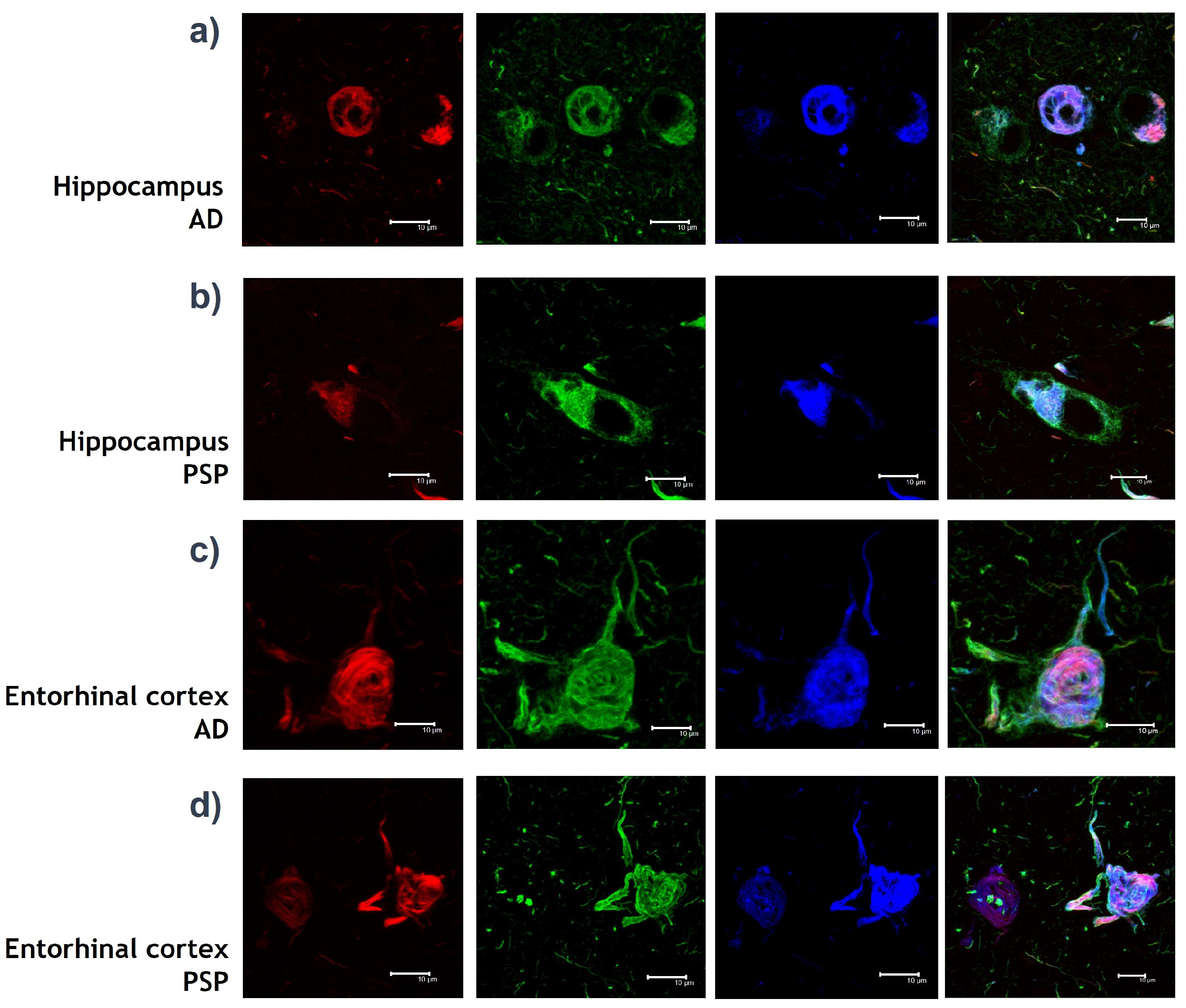 Cimb 44 00406 g001 Cimb 44 00406 g001