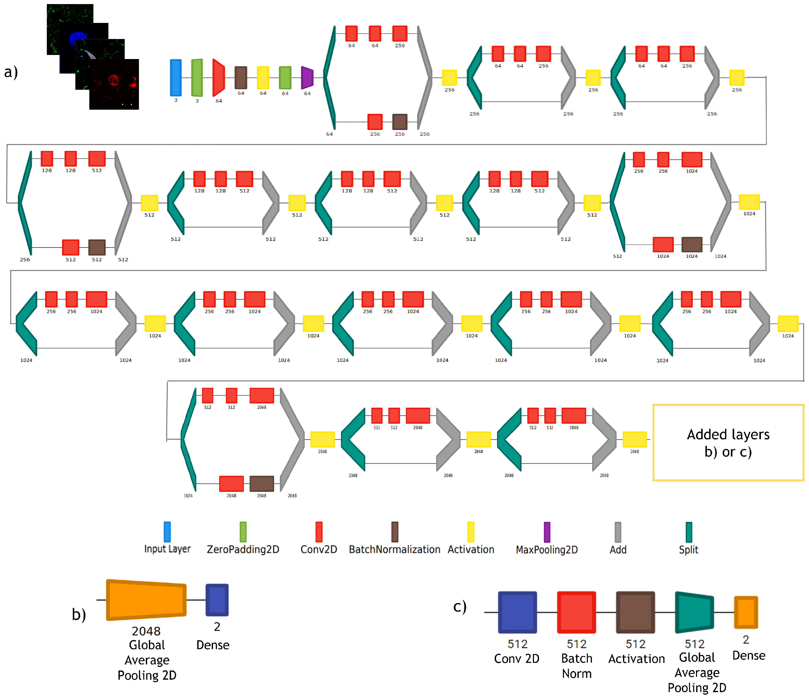 Cimb 44 00406 g003 Cimb 44 00406 g003