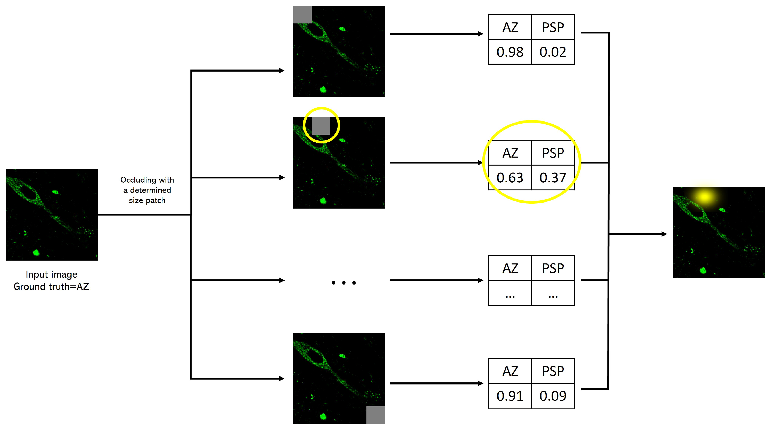 Cimb 44 00406 g005 Cimb 44 00406 g005