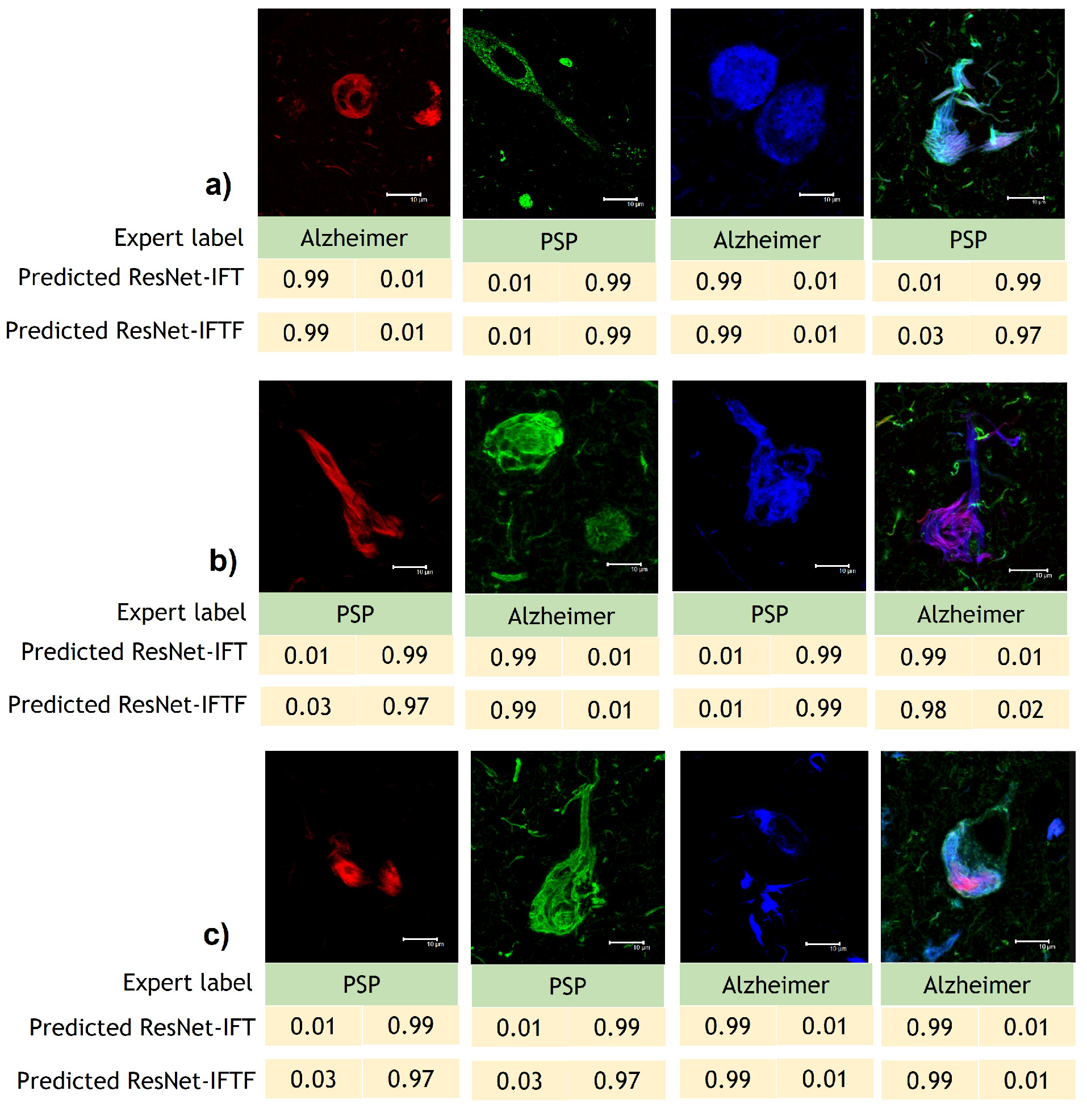 Cimb 44 00406 g008 Cimb 44 00406 g008