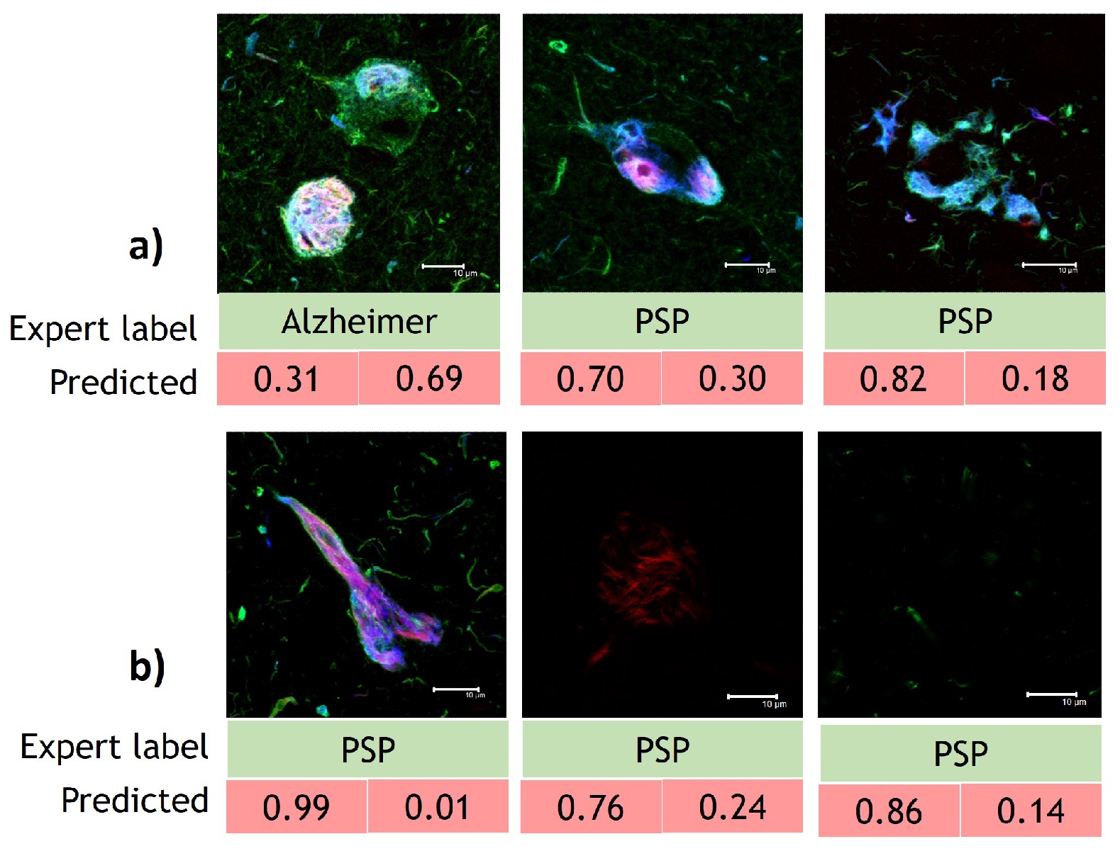 Cimb 44 00406 g009 Cimb 44 00406 g009