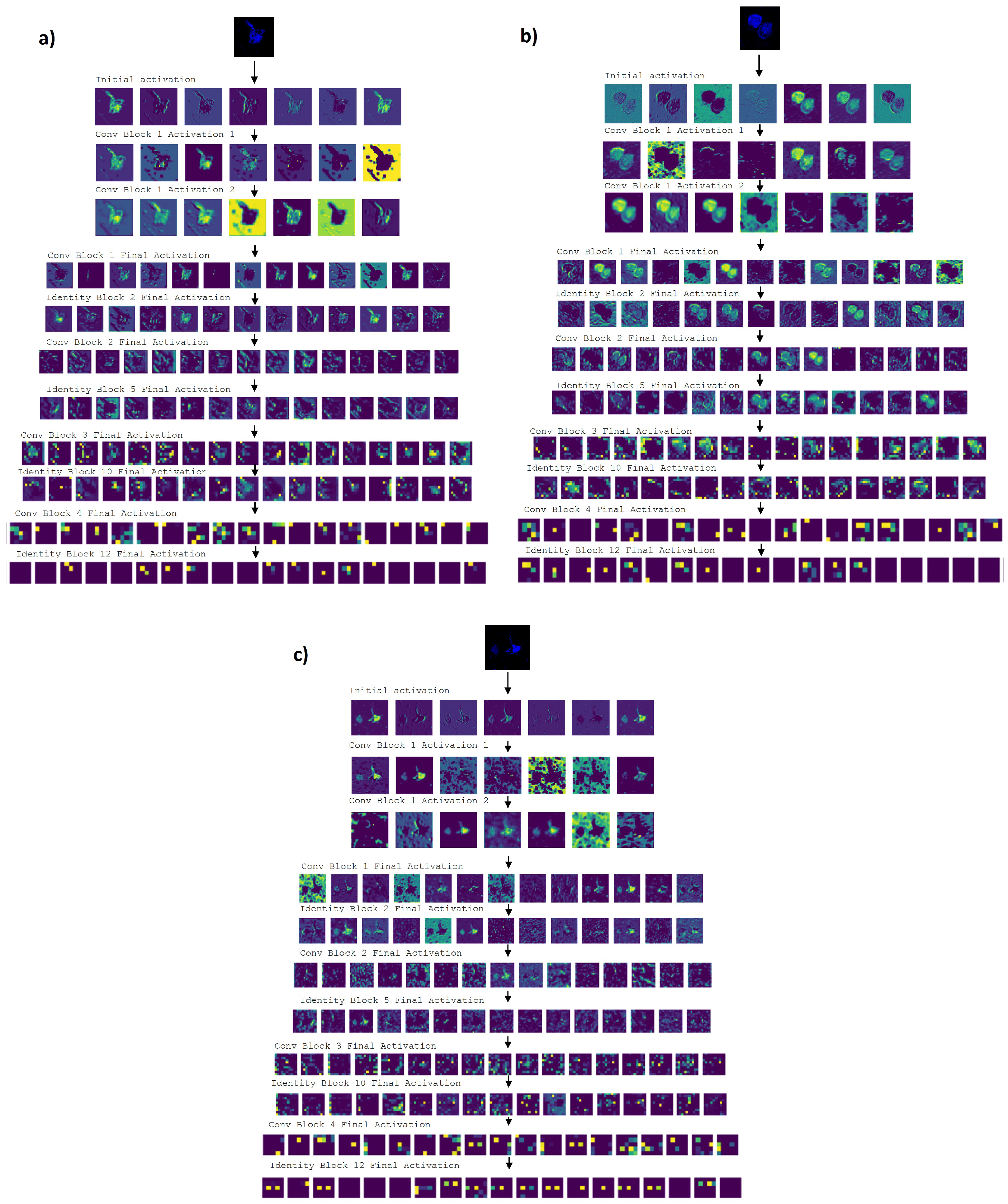 Cimb 44 00406 g010 Cimb 44 00406 g010
