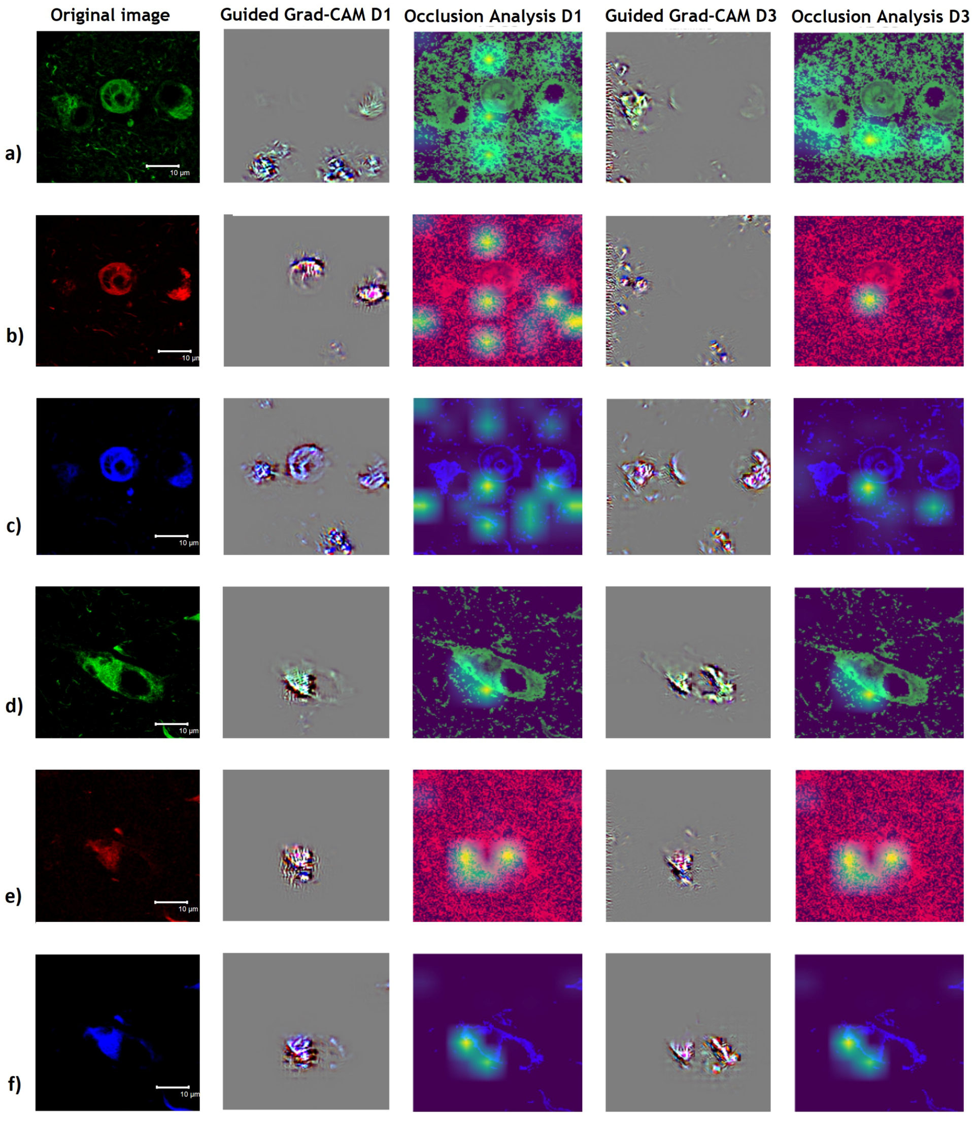 Cimb 44 00406 g011 Cimb 44 00406 g011