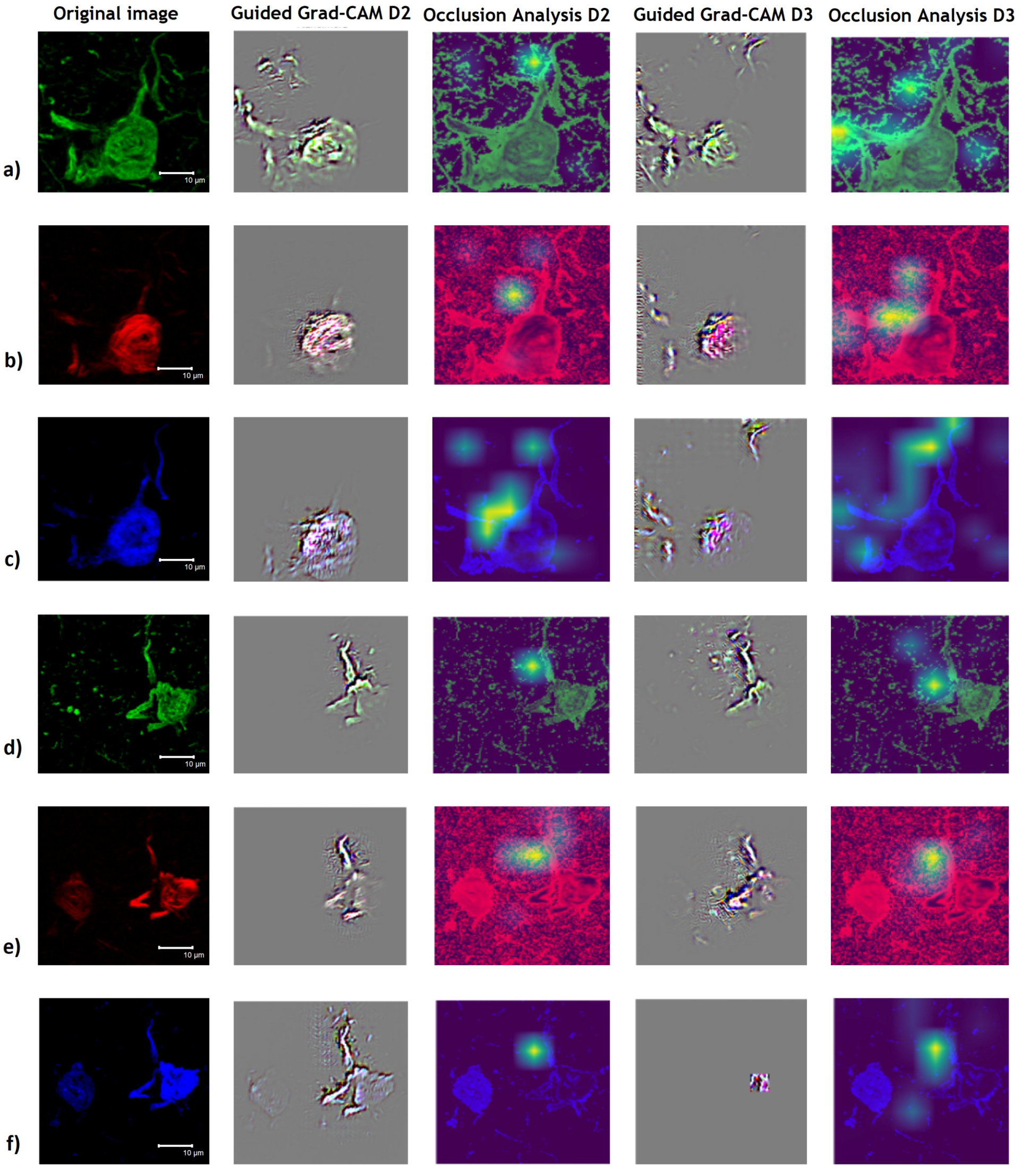 Cimb 44 00406 g012 Cimb 44 00406 g012