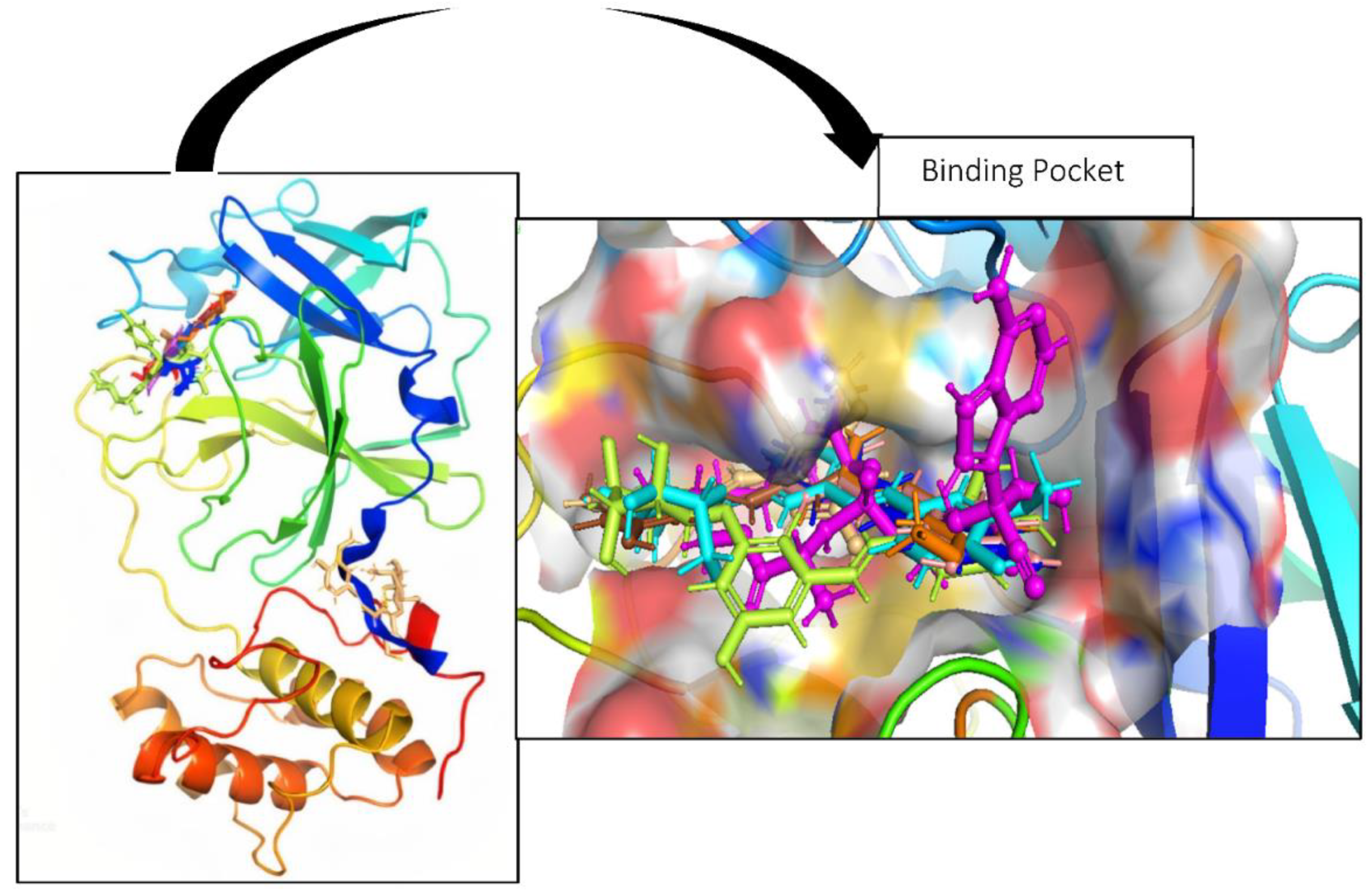 Cimb 45 00002 g002 Cimb 45 00002 g002