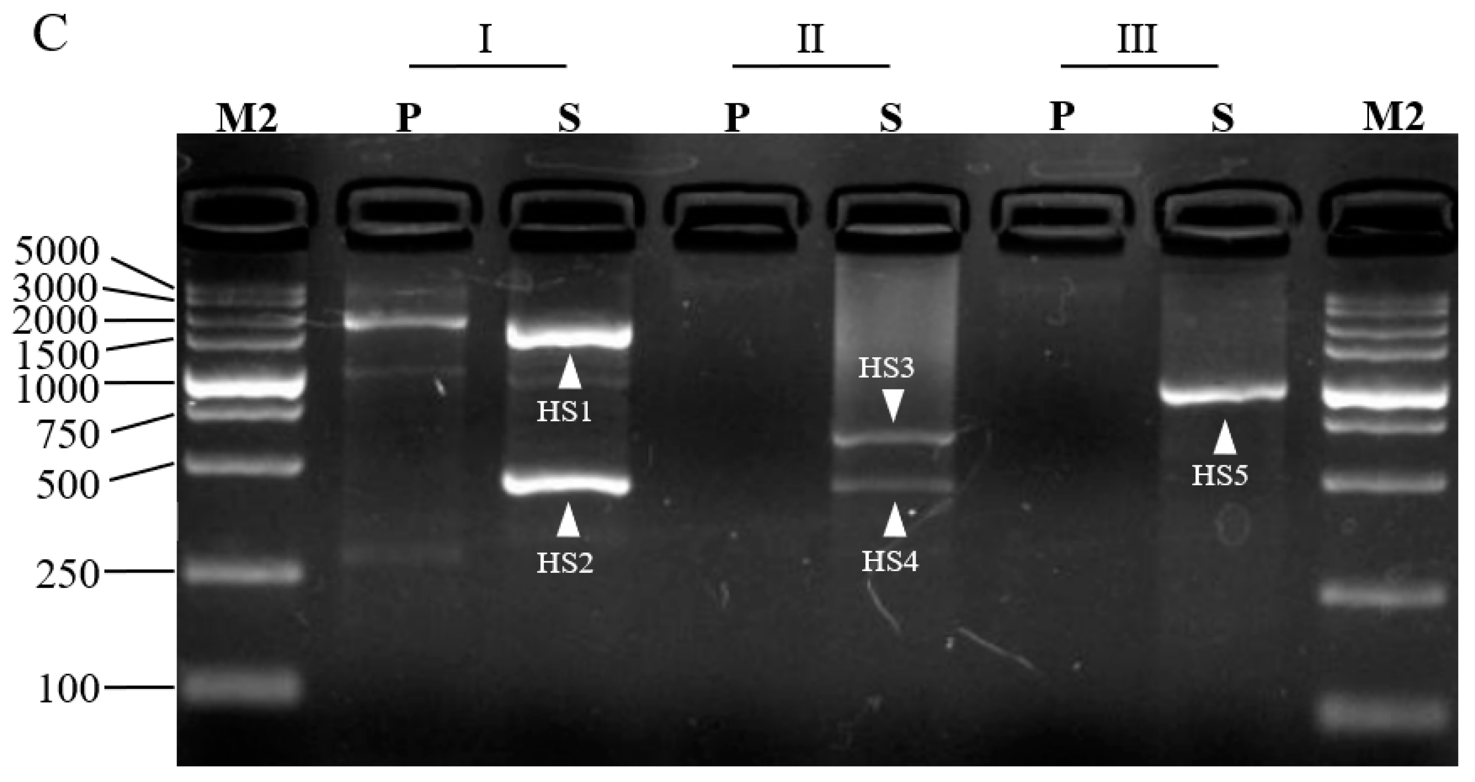 Cimb 45 00034 g002b Cimb 45 00034 g002b