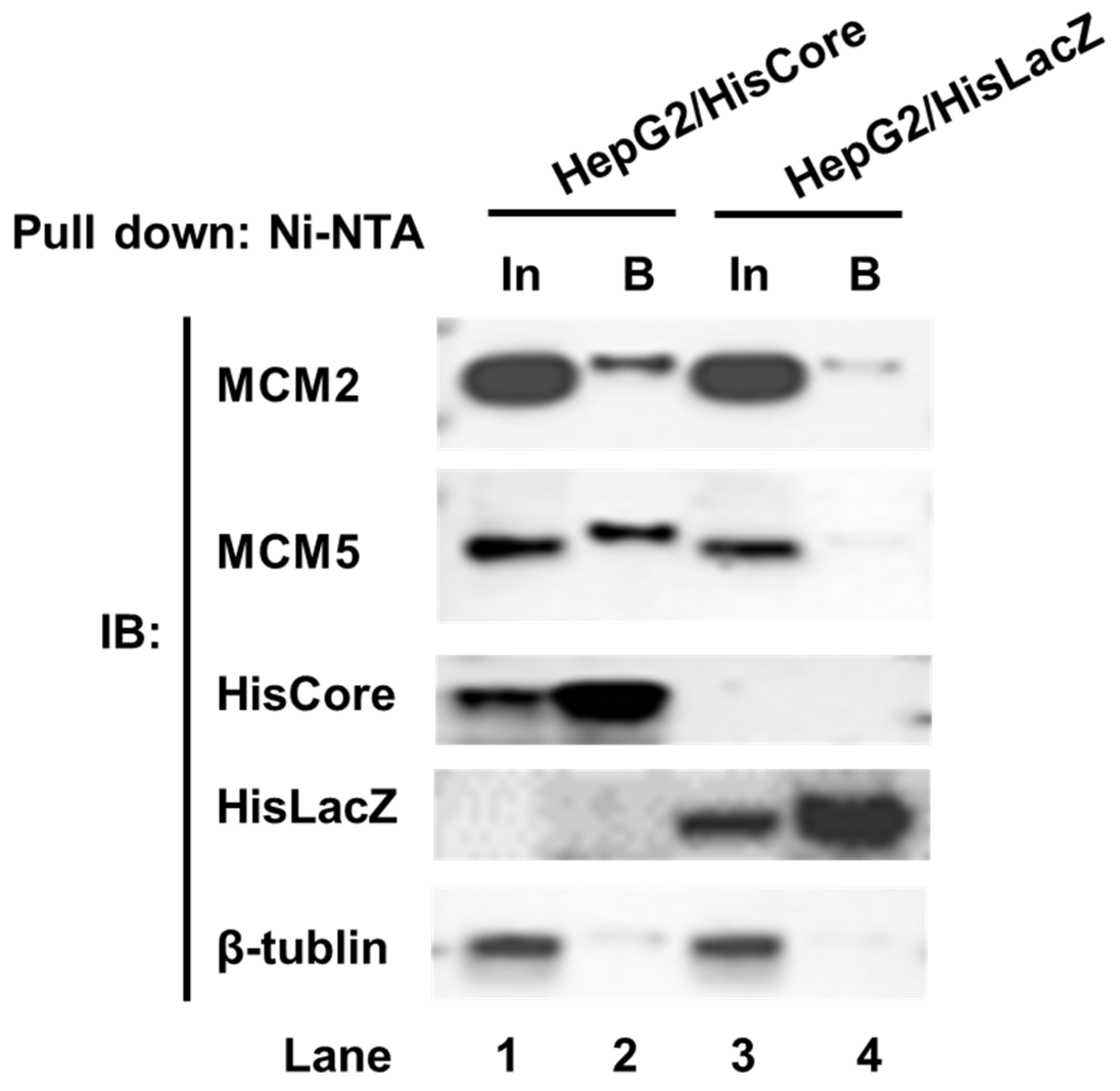 Cimb 45 00050 g002 Cimb 45 00050 g002