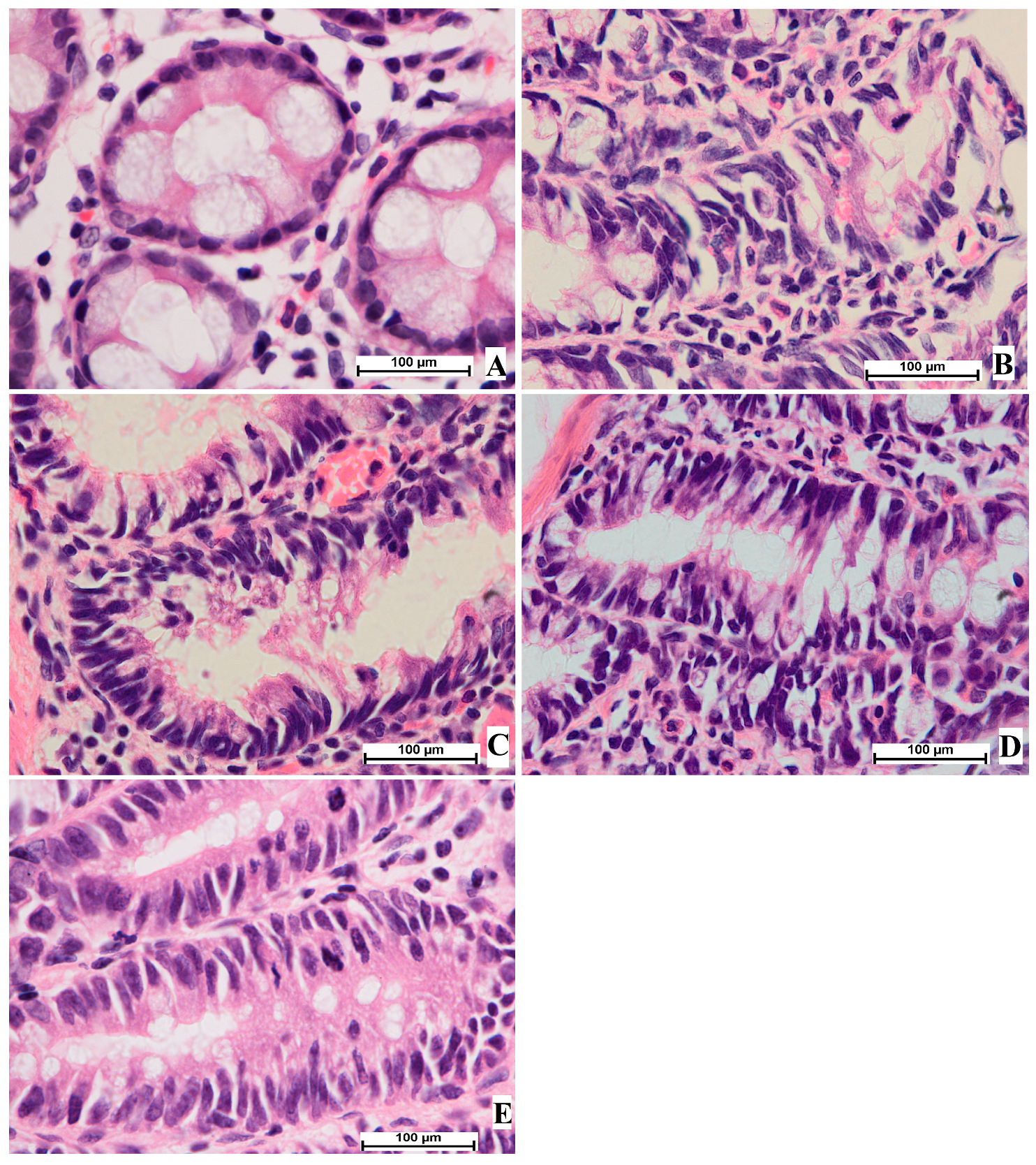 Cimb 45 00057 g004 Cimb 45 00057 g004