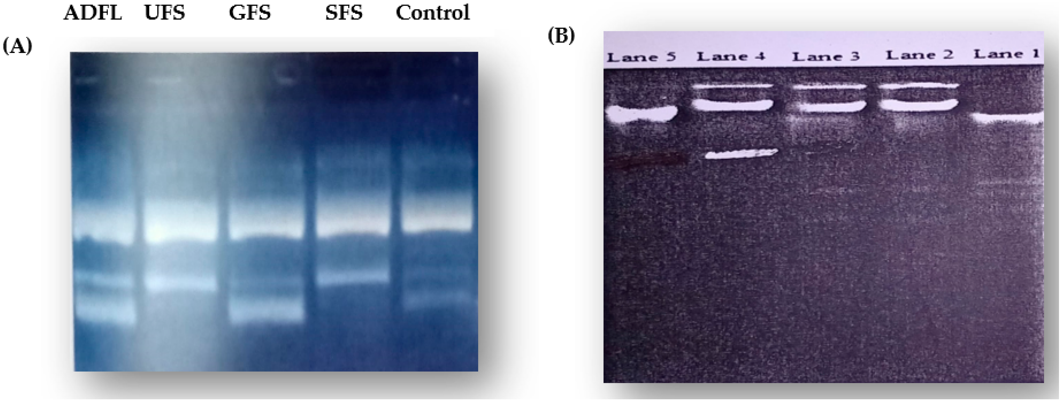 Cimb 45 00060 g001 Cimb 45 00060 g001