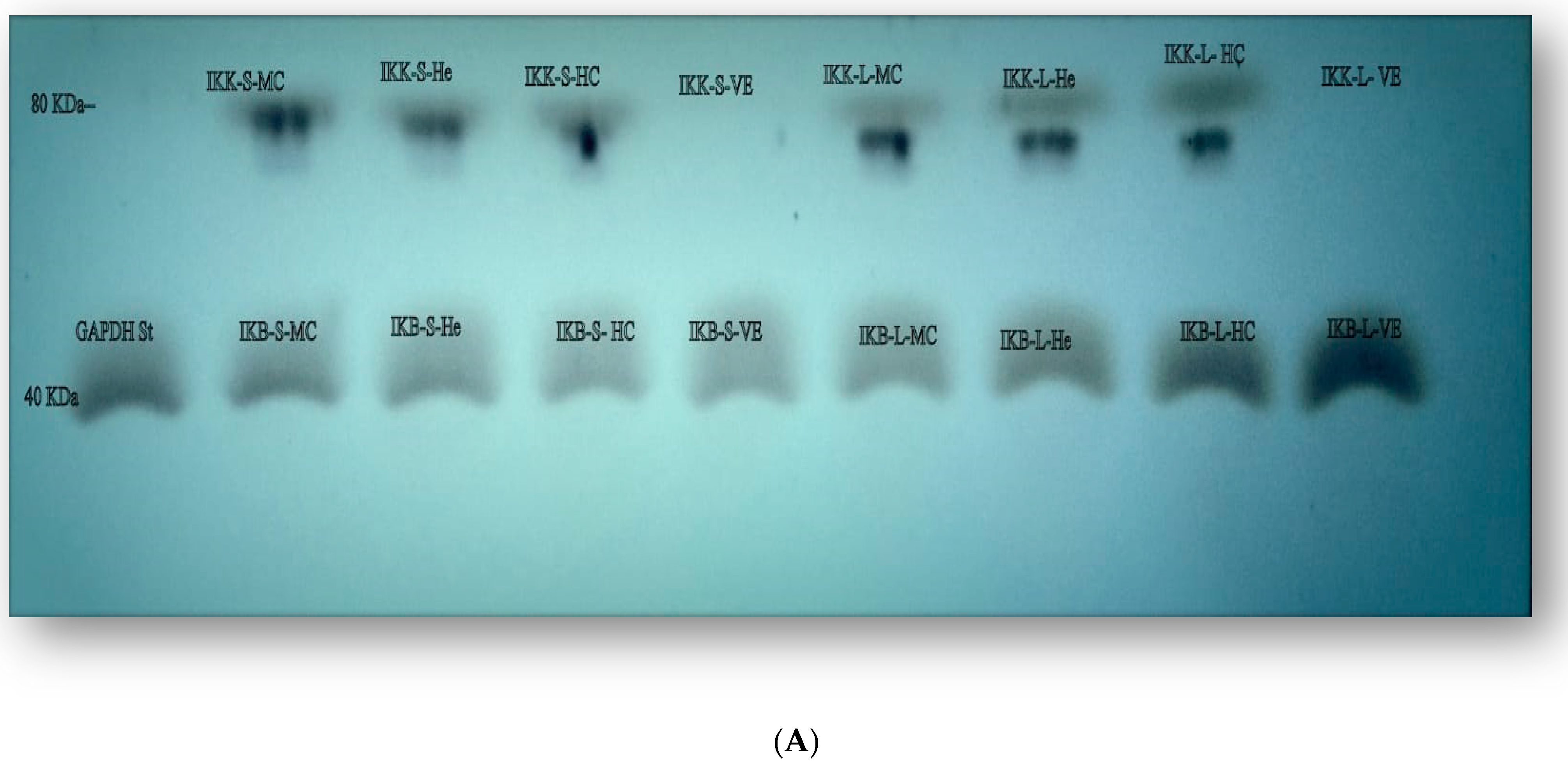 Cimb 45 00060 g004a Cimb 45 00060 g004a