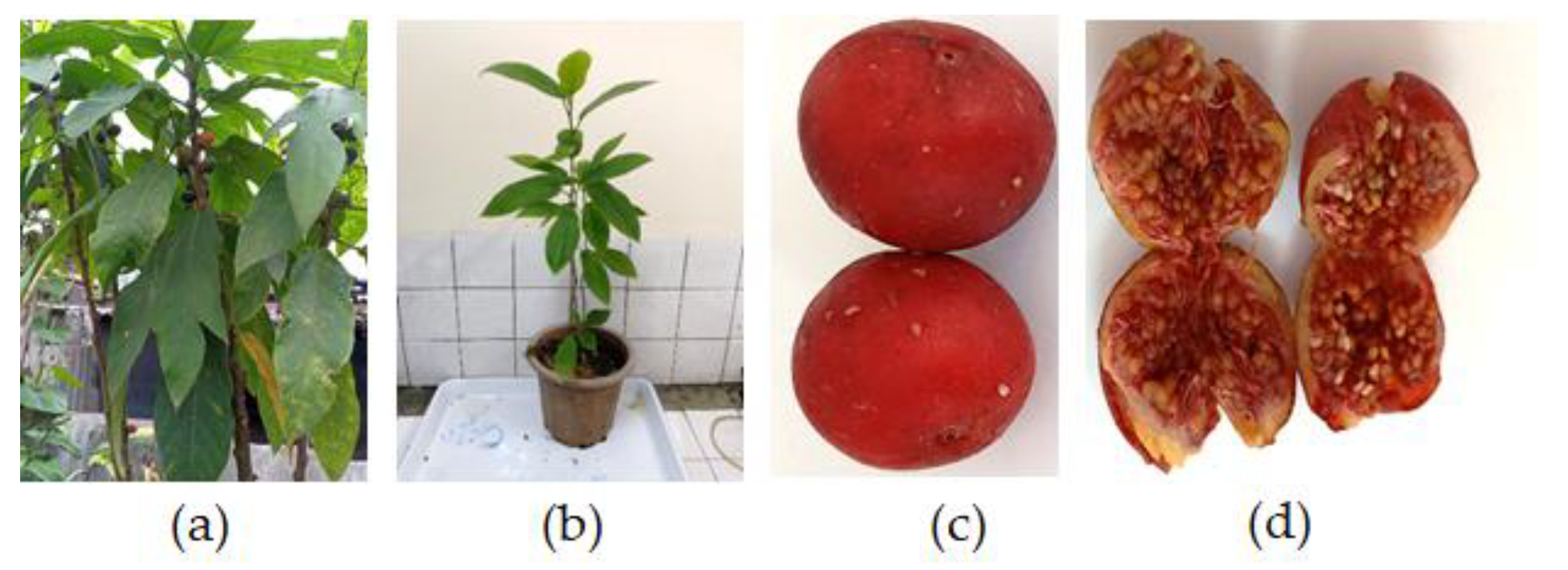 Cimb 45 00067 g001 Cimb 45 00067 g001