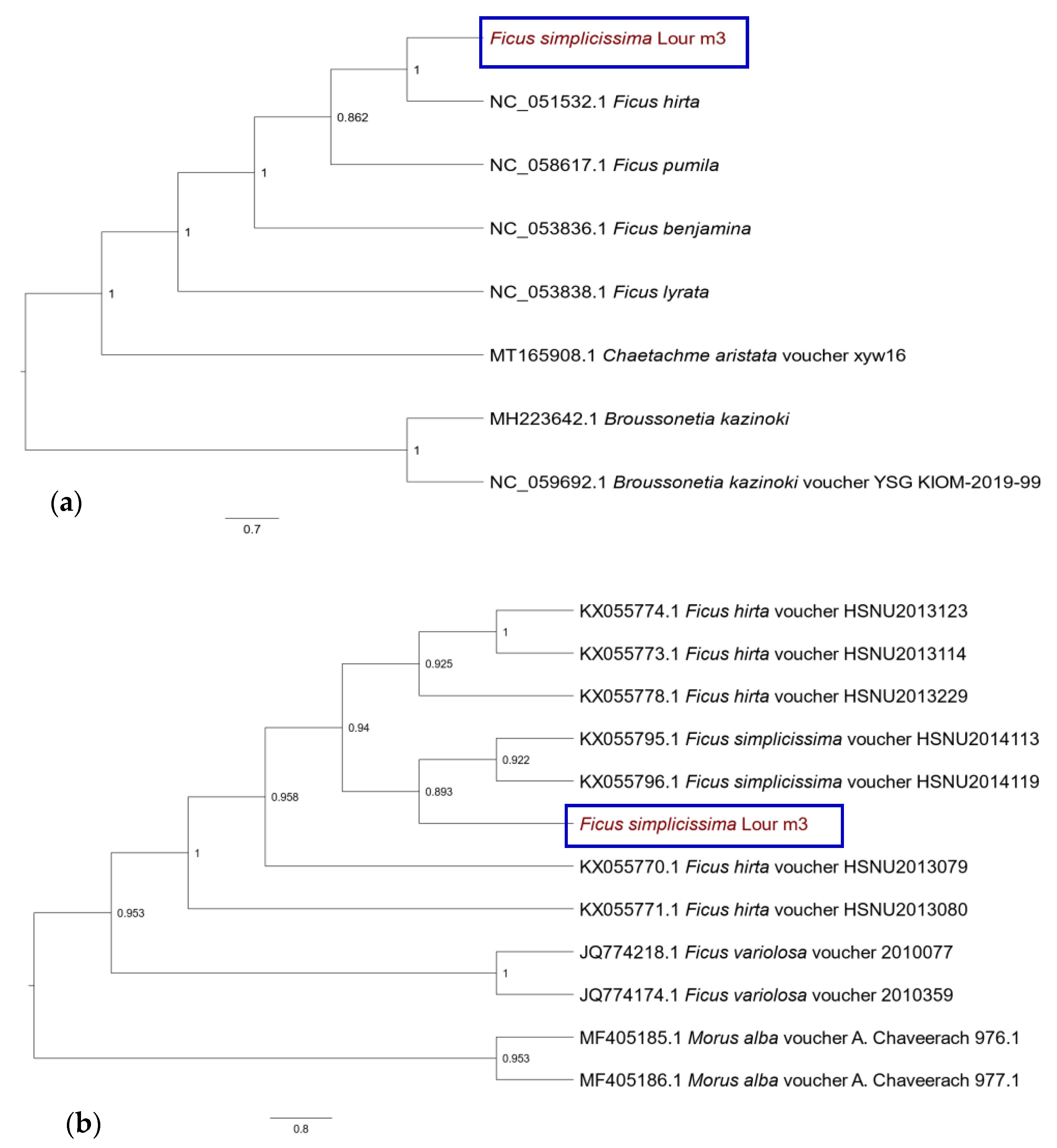 Cimb 45 00067 g004 Cimb 45 00067 g004