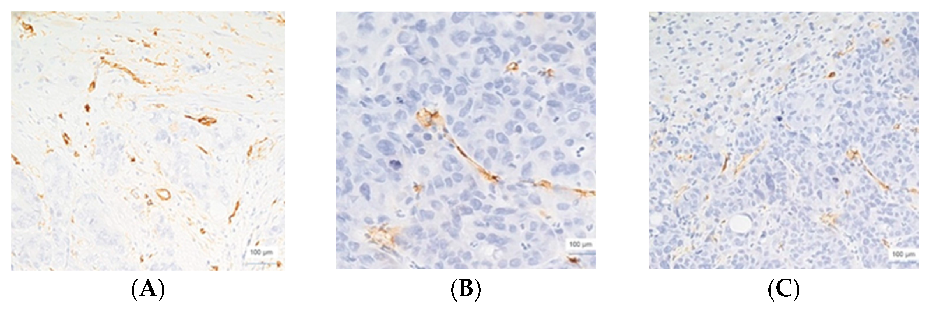 Cimb 45 00091 g001 Cimb 45 00091 g001