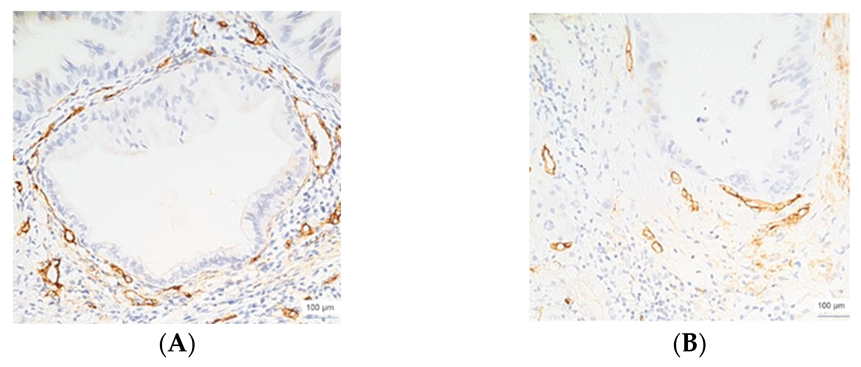 Cimb 45 00091 g002 Cimb 45 00091 g002