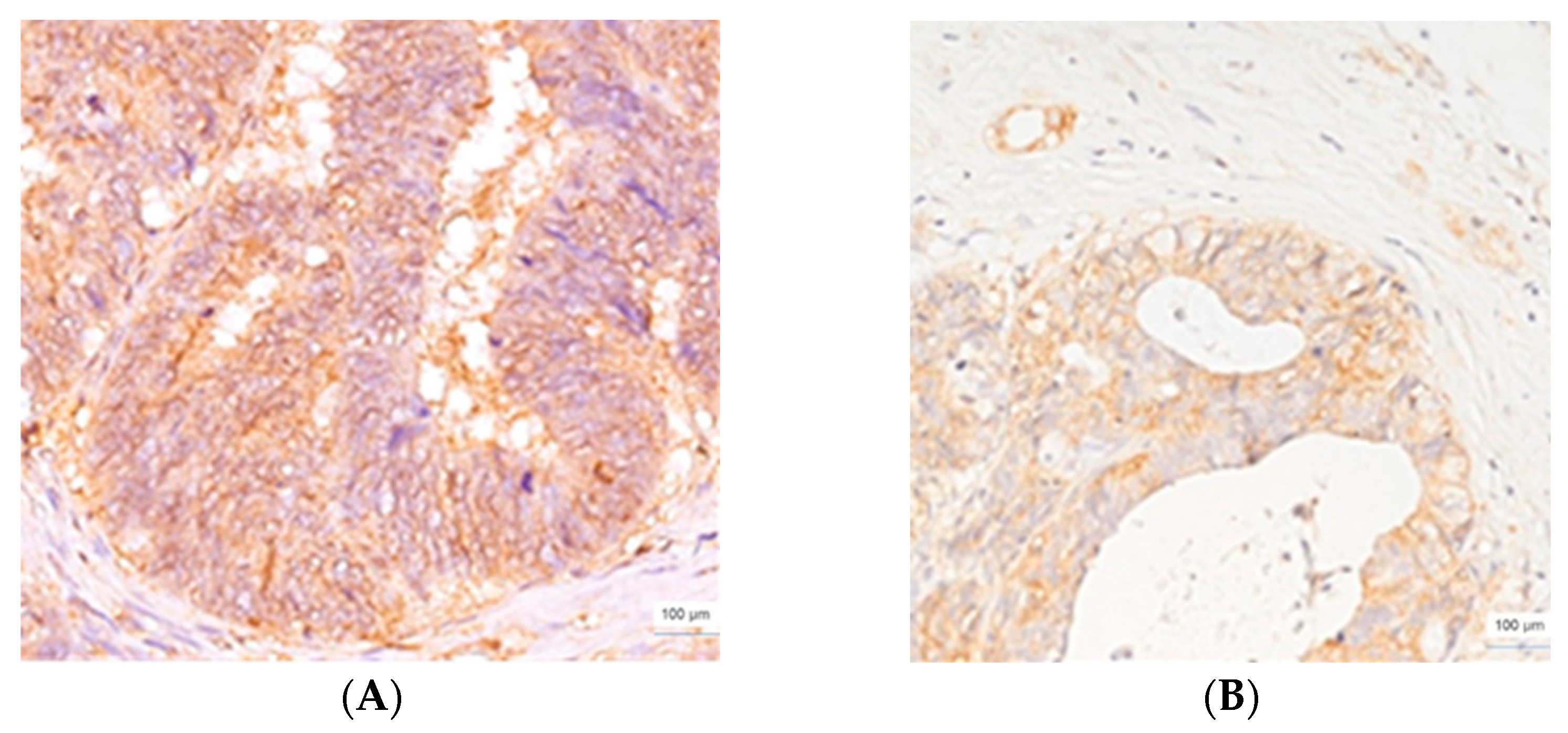 Cimb 45 00091 g003 Cimb 45 00091 g003