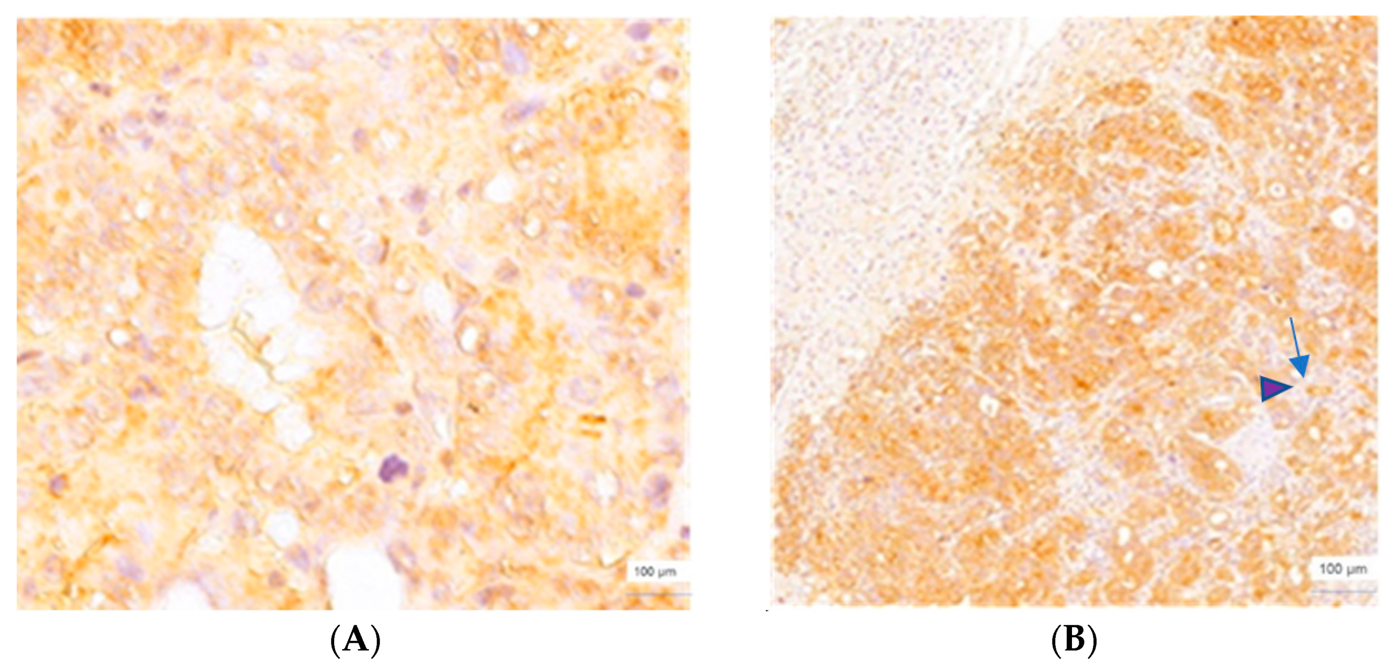 Cimb 45 00091 g004 Cimb 45 00091 g004