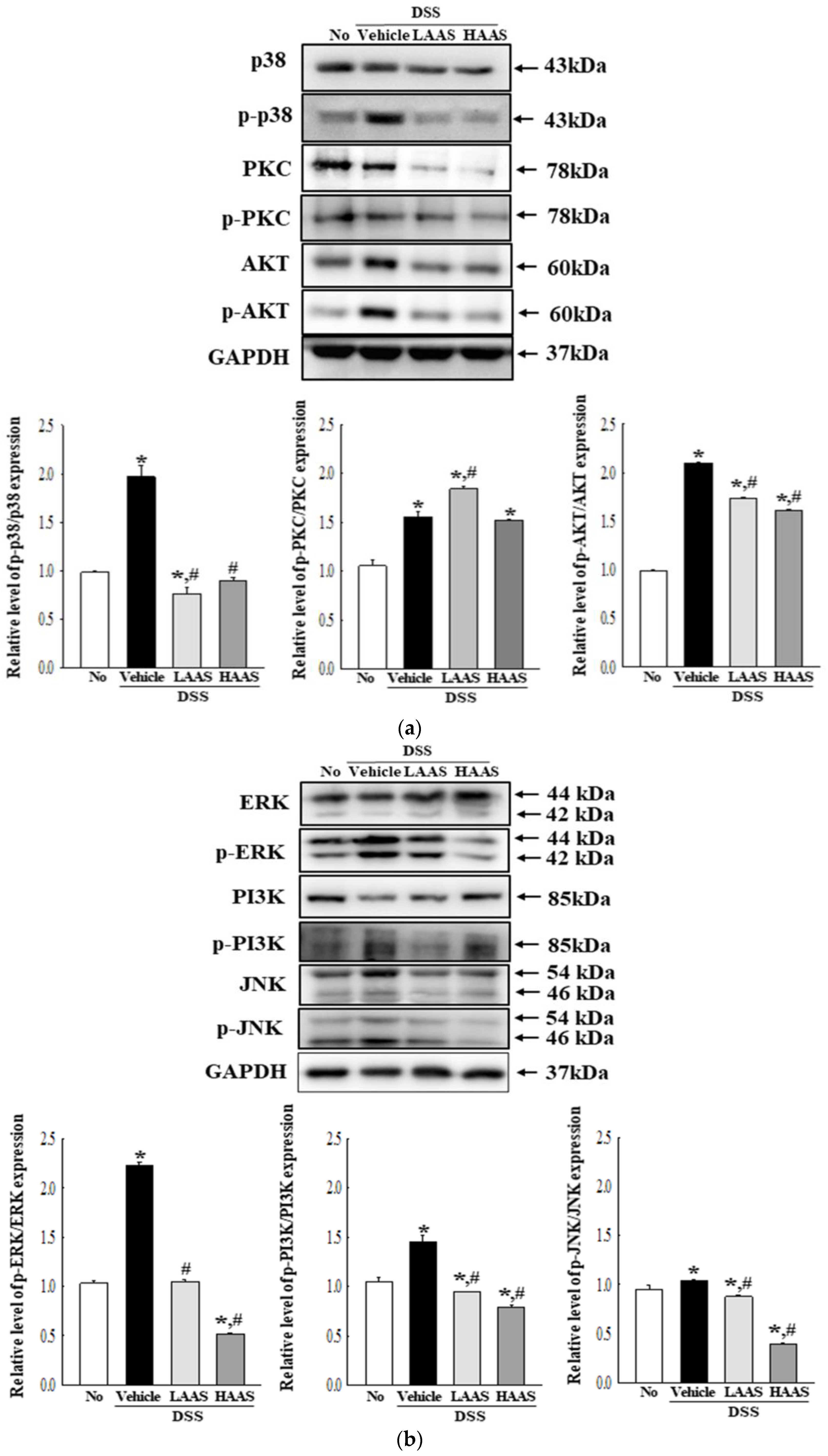 Cimb 45 00096 g005 Cimb 45 00096 g005