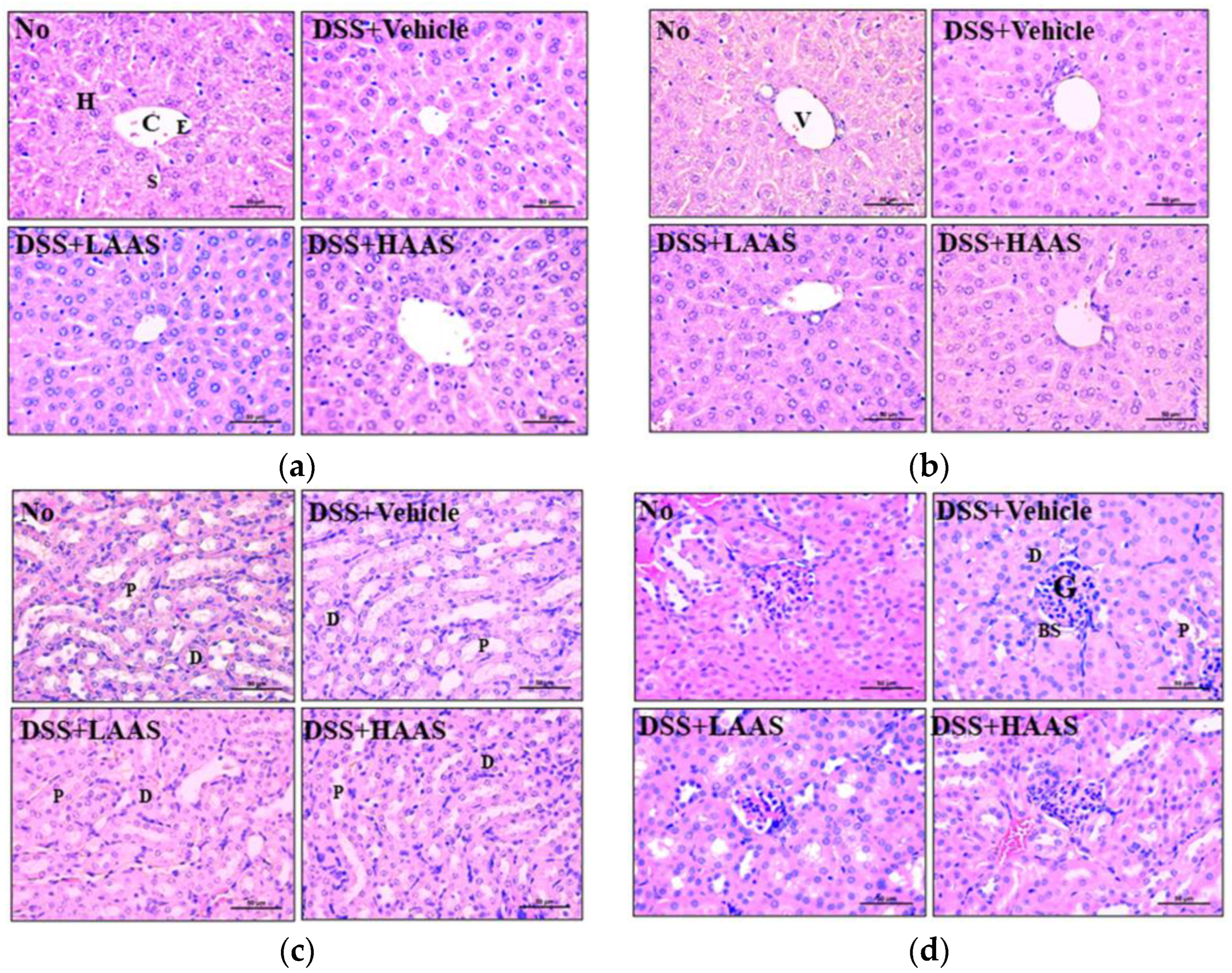 Cimb 45 00096 g006 Cimb 45 00096 g006