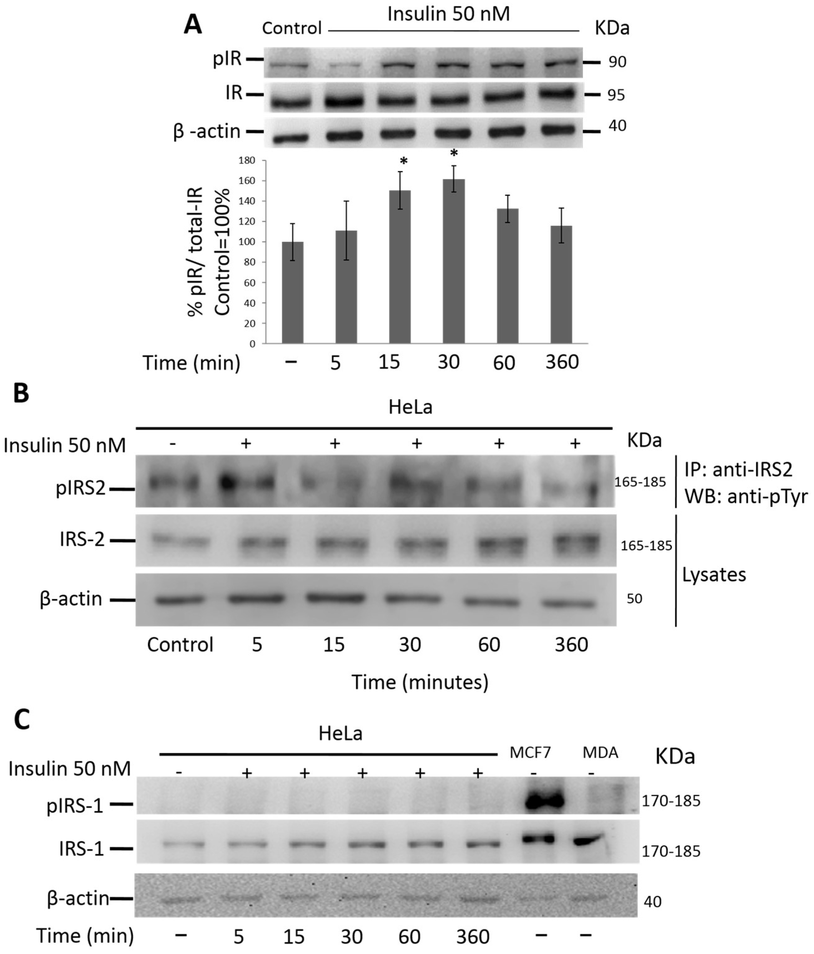 Cimb 45 00148 g003 Cimb 45 00148 g003