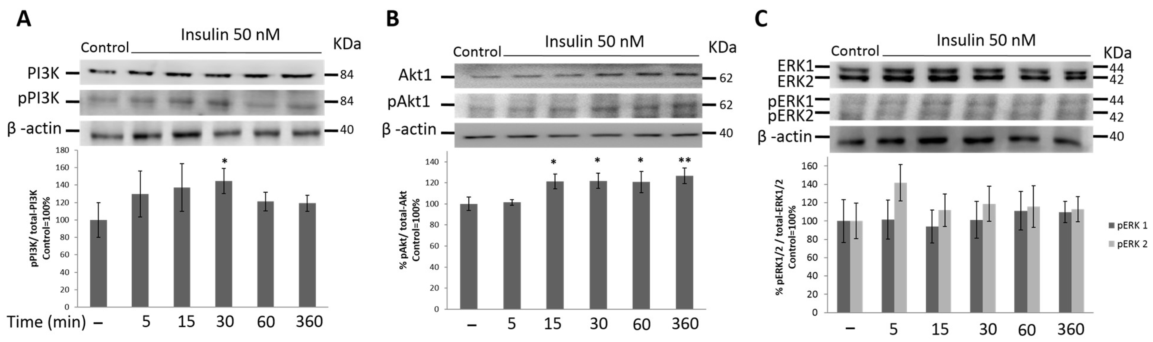 Cimb 45 00148 g004 Cimb 45 00148 g004