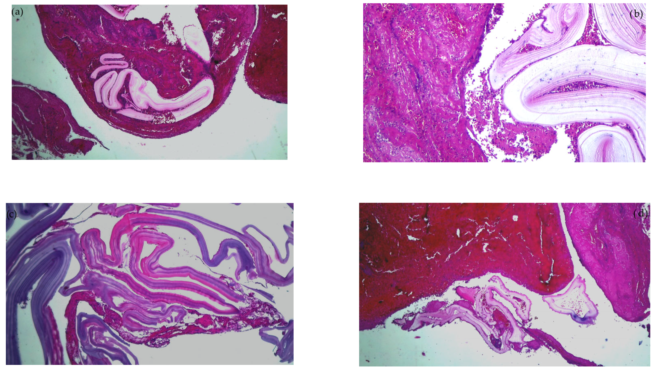Cimb 45 00170 g003 Cimb 45 00170 g003