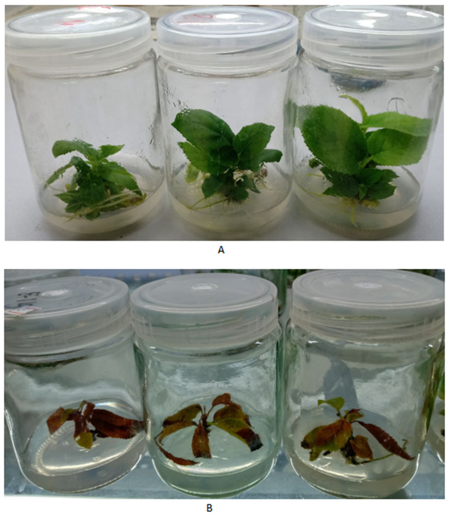 Cimb 45 00243 g001 Cimb 45 00243 g001