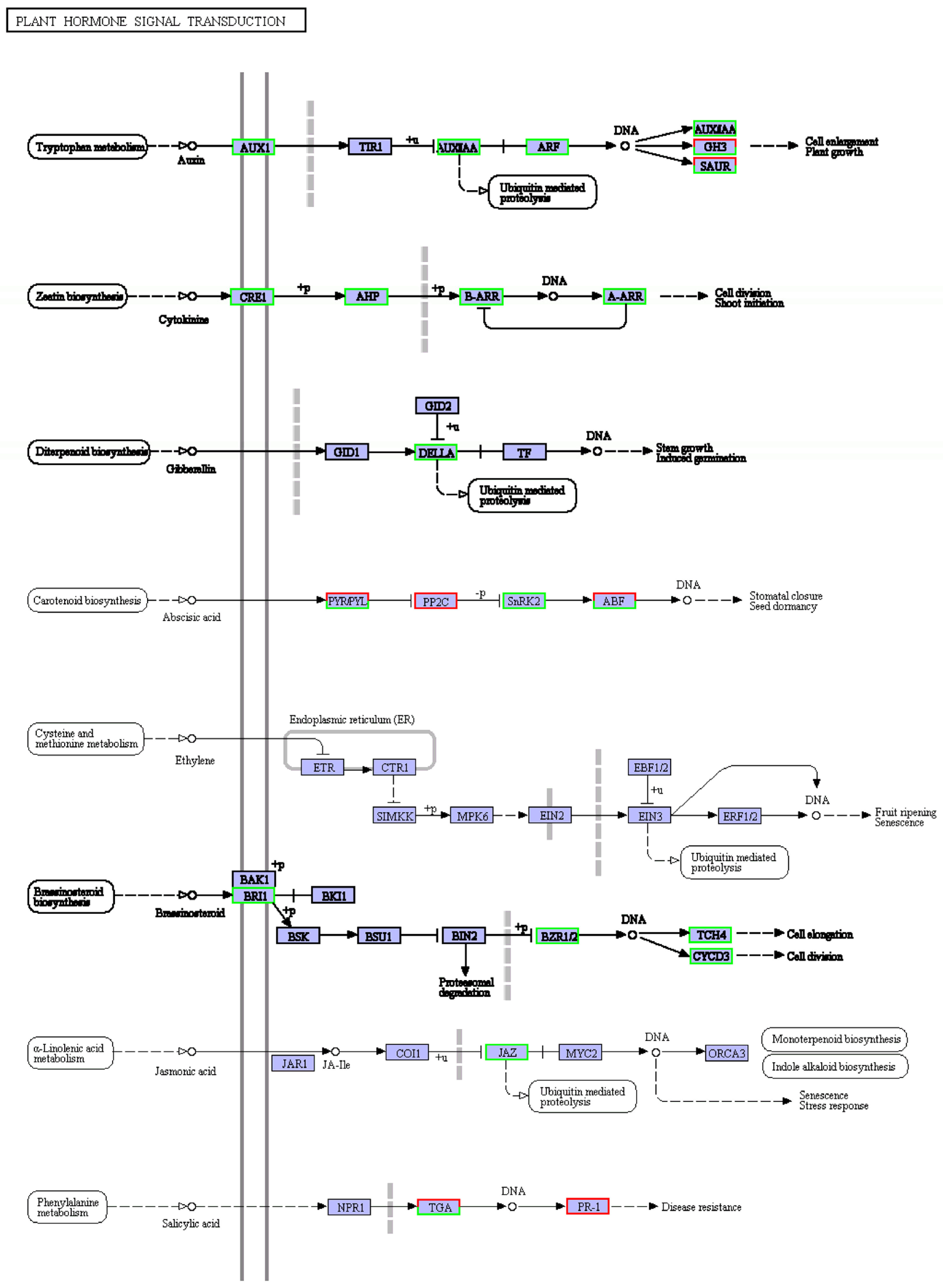 Cimb 45 00243 g005 Cimb 45 00243 g005