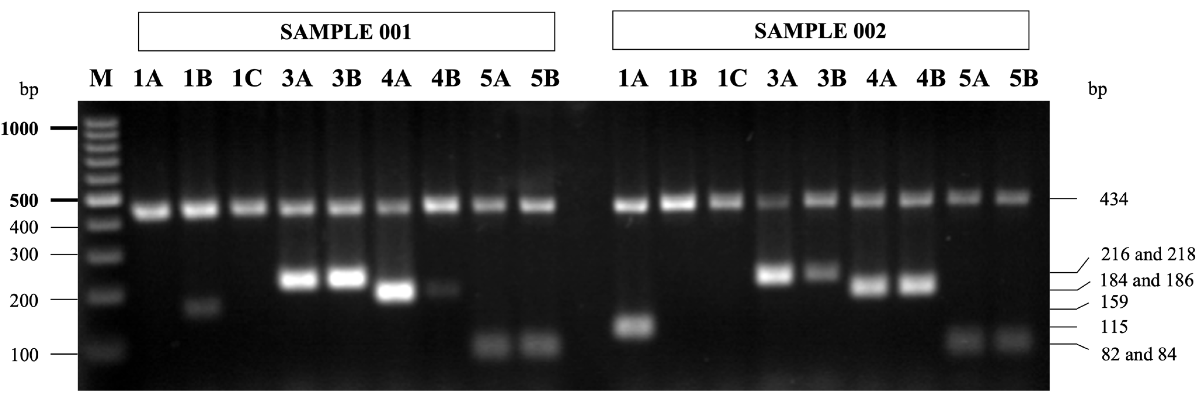 Cimb 45 00265 g002 Cimb 45 00265 g002