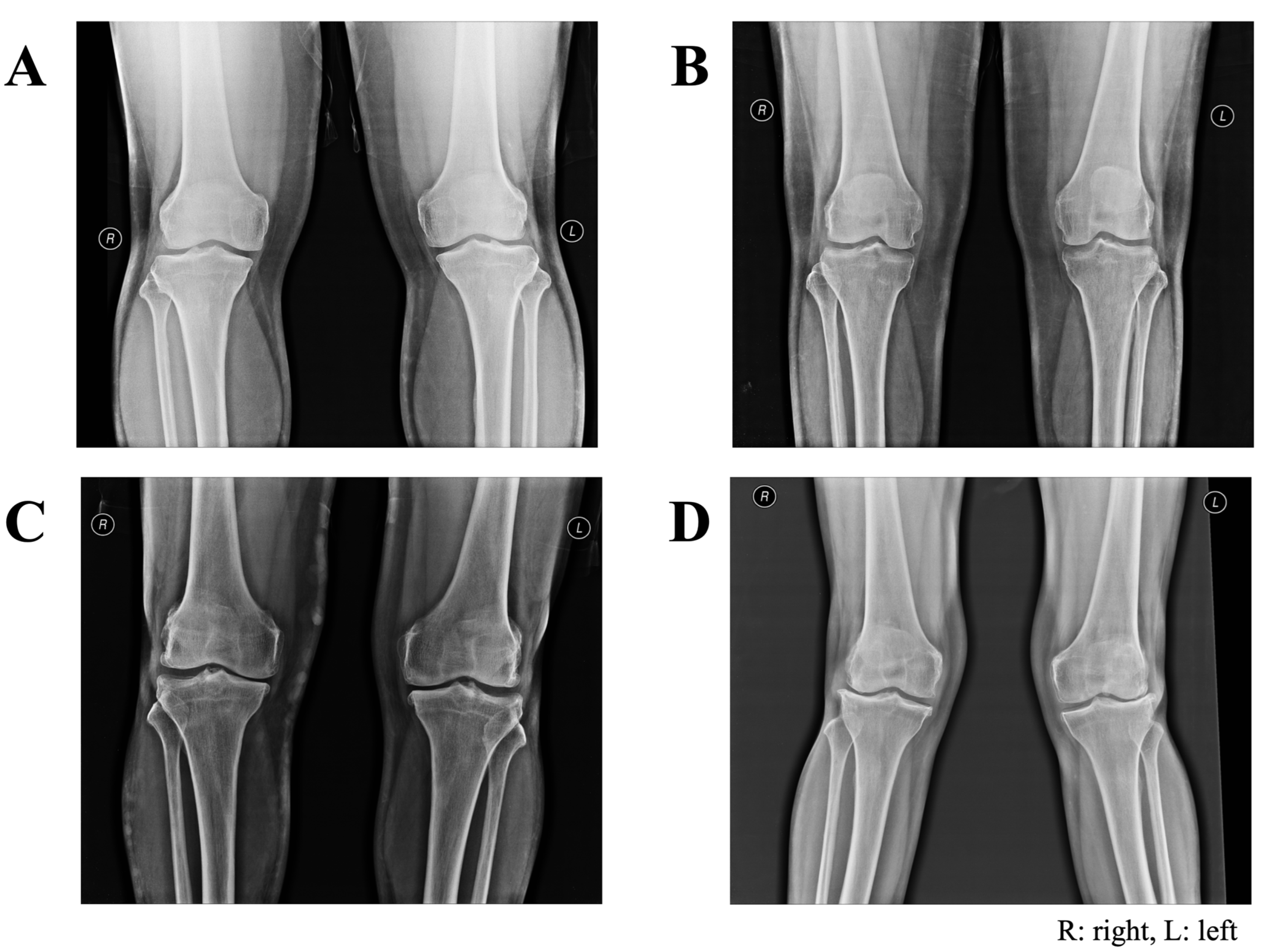 Cimb 45 00265 g003 Cimb 45 00265 g003