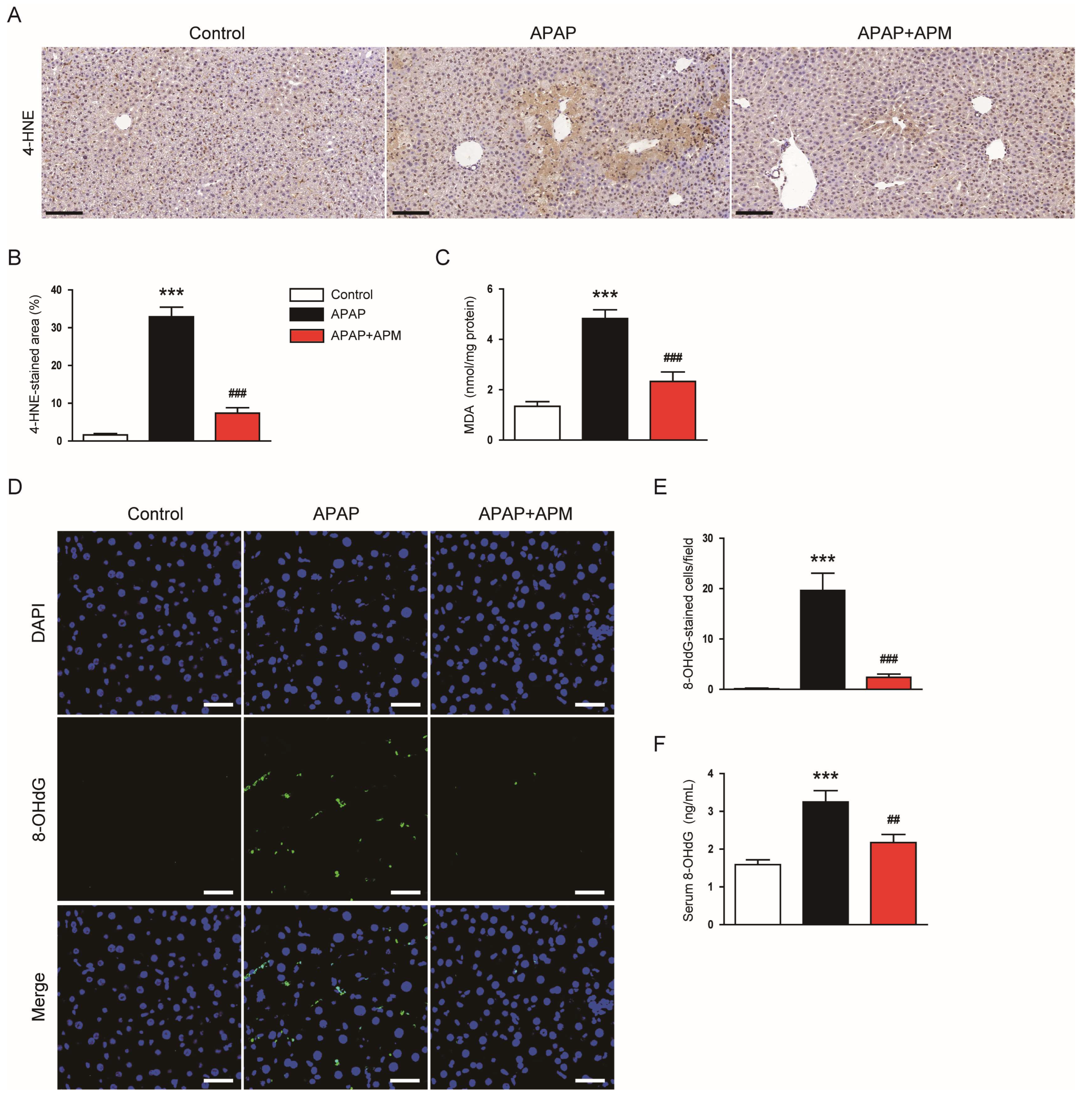 Cimb 45 00279 g002 Cimb 45 00279 g002