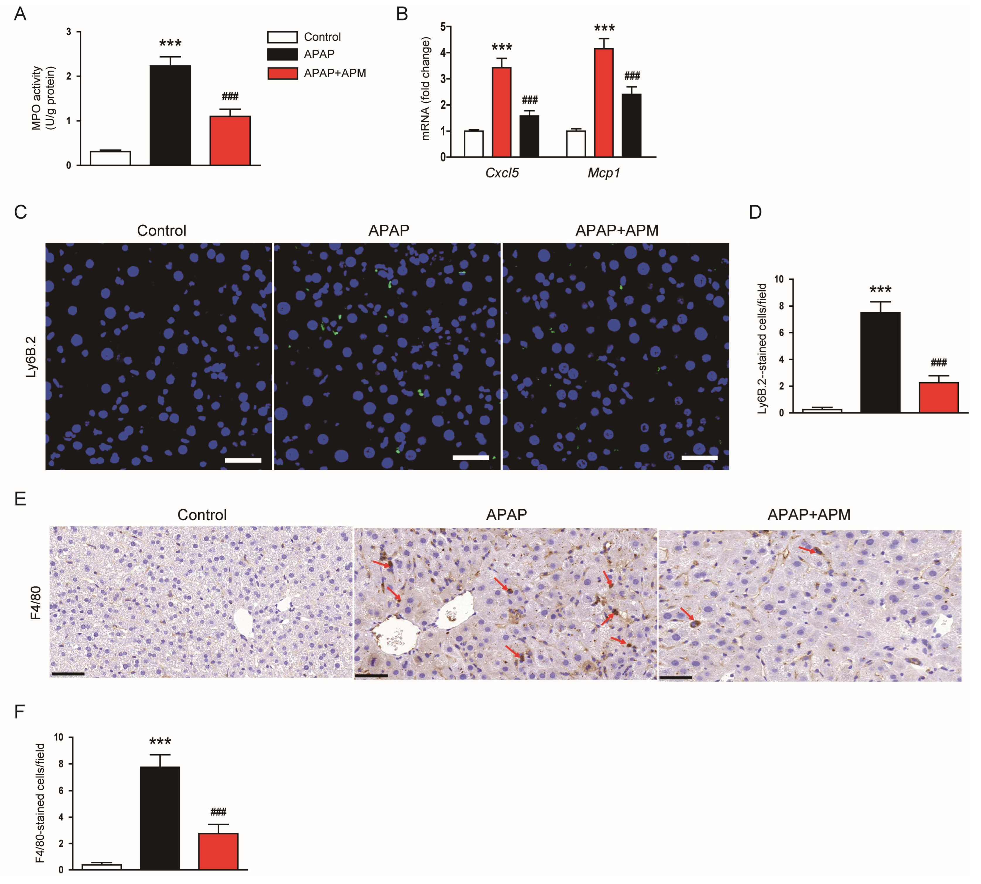 Cimb 45 00279 g006 Cimb 45 00279 g006