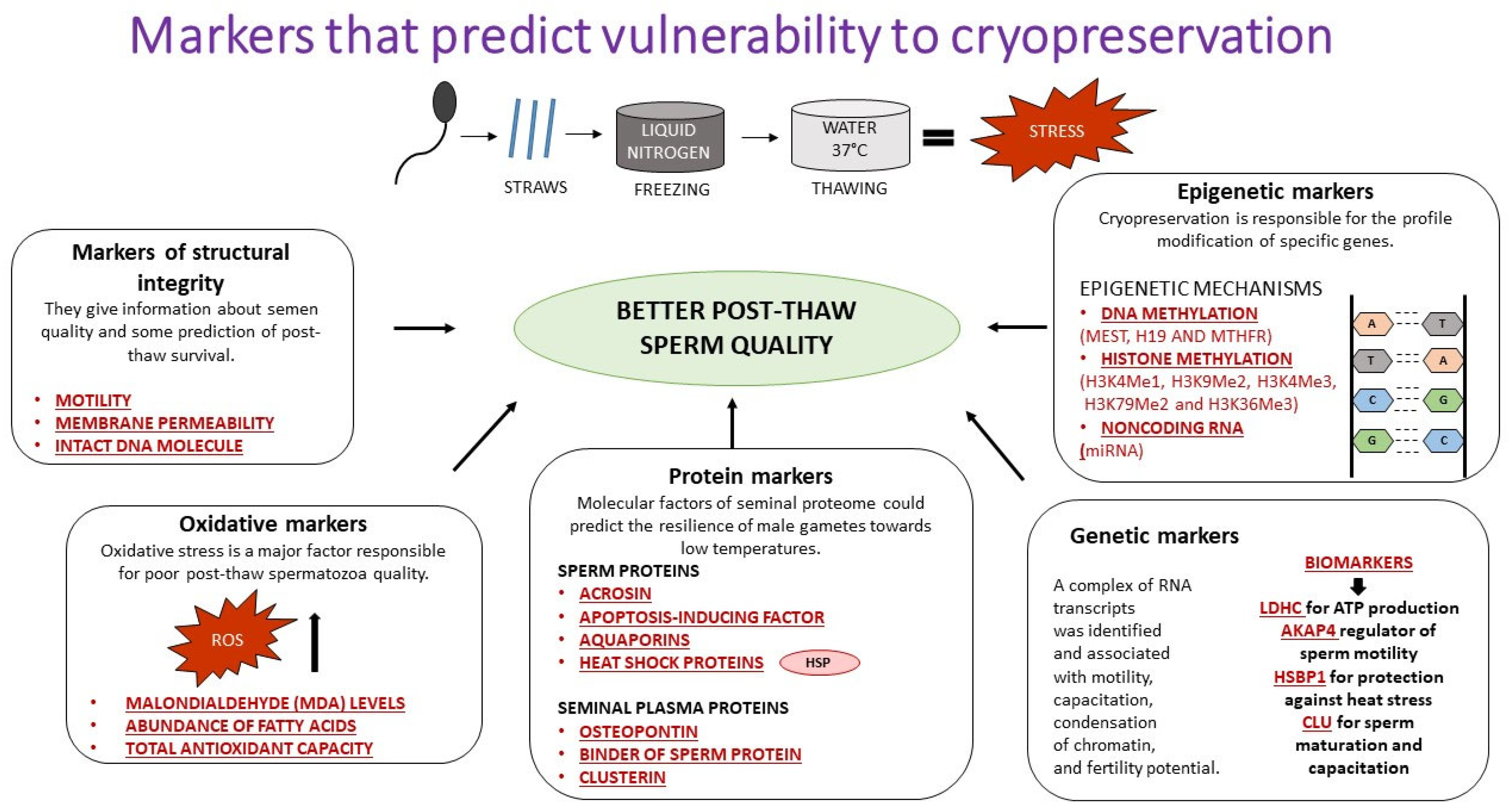 Cimb 45 00300 g001 Cimb 45 00300 g001