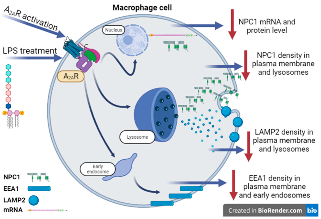 Cimb 45 00315 g009 Cimb 45 00315 g009