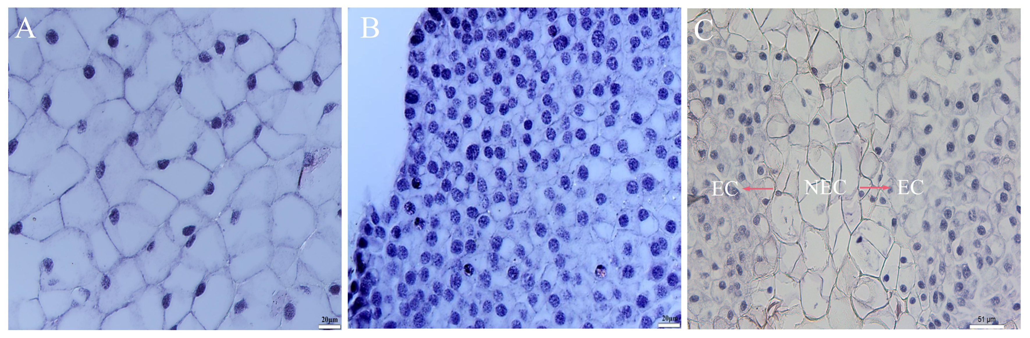 Cimb 45 00332 g002 Cimb 45 00332 g002