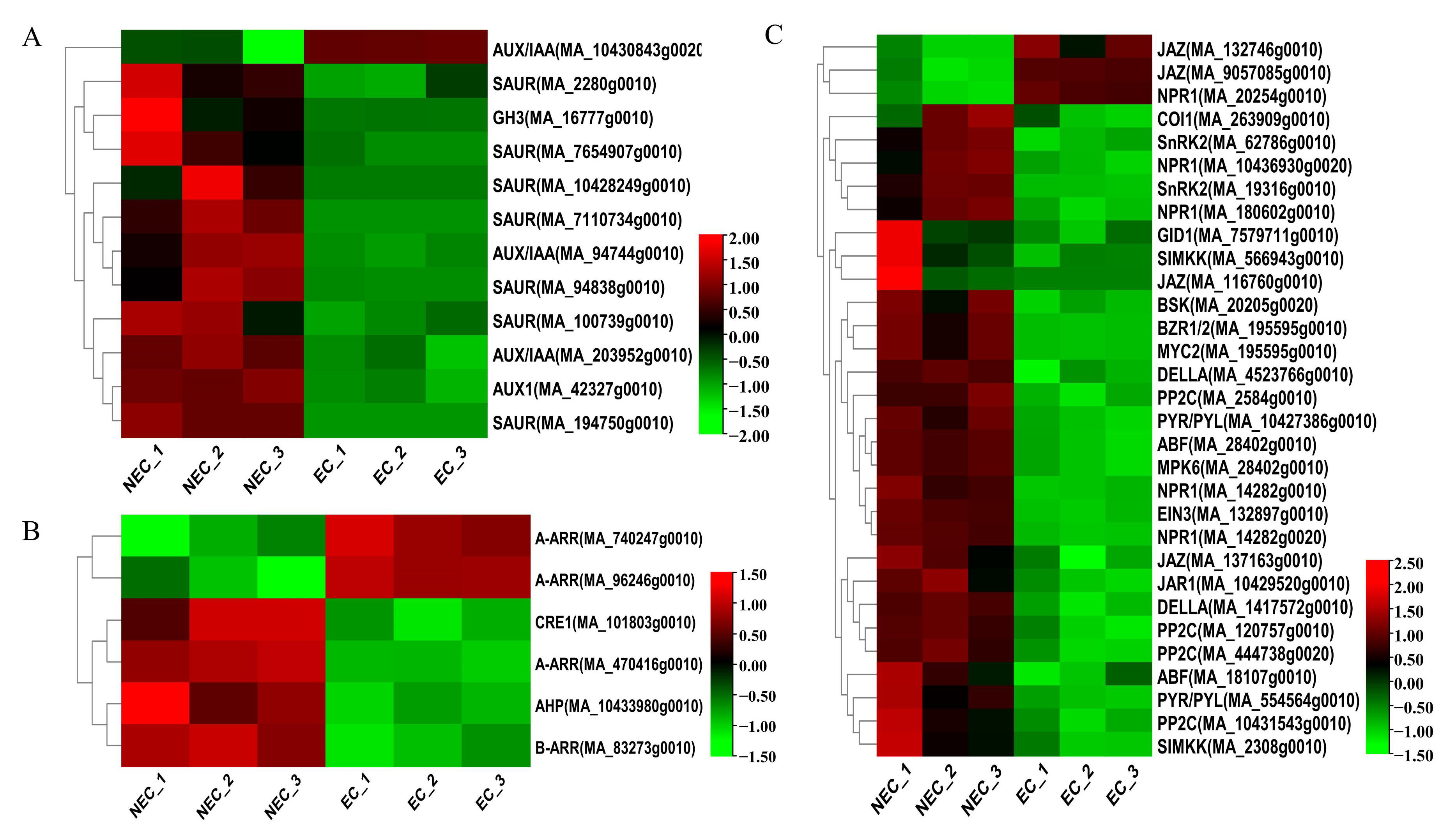 Cimb 45 00332 g003 Cimb 45 00332 g003