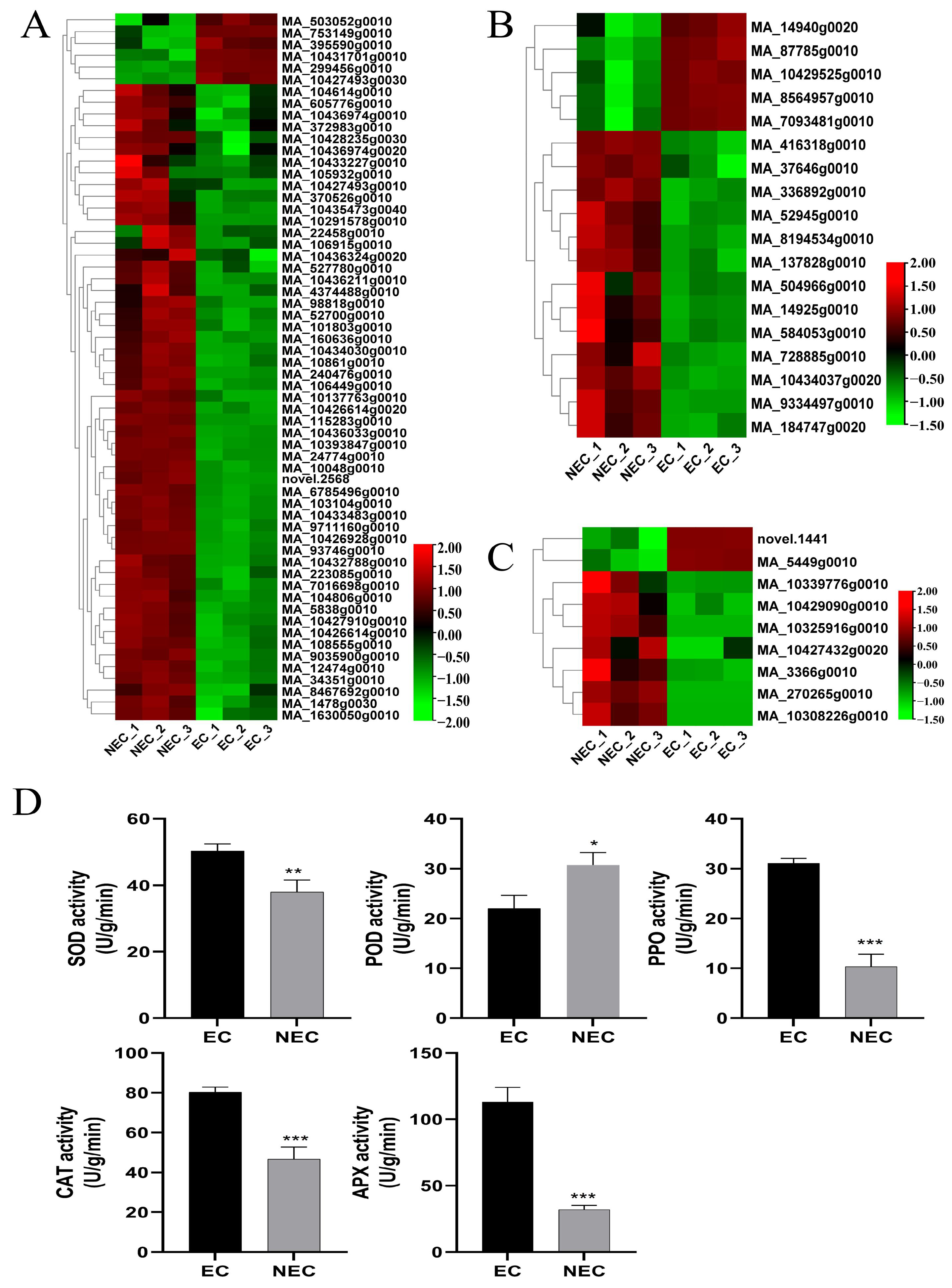 Cimb 45 00332 g004 Cimb 45 00332 g004