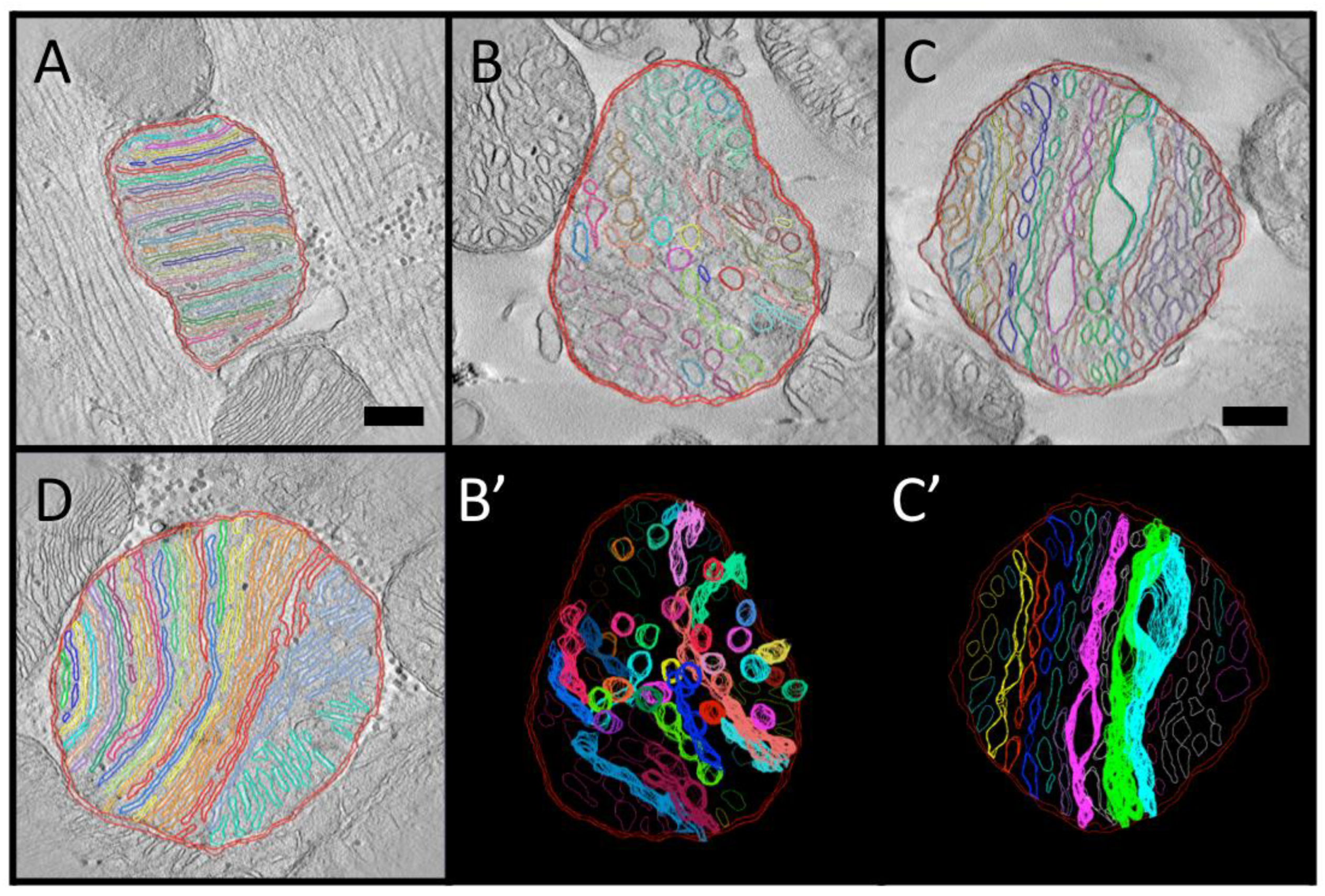 Cimb 45 00385 g004 Cimb 45 00385 g004